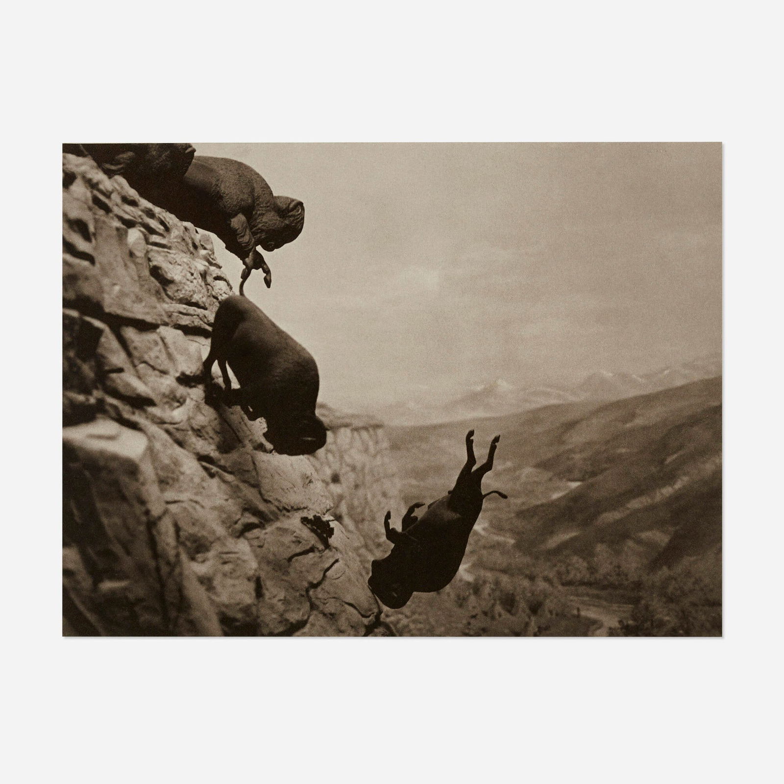 David Wojnarowicz, Untitled (Buffaloes): David Wojnarowicz Untitled (Buffaloes) 1988 / printed 1994platinum print image: 10.625 h x 13.875 w in (27 x 35 cm) sheet: 16 h x 20 w in (41 x 51 cm) Signed by the executor of the David Wo