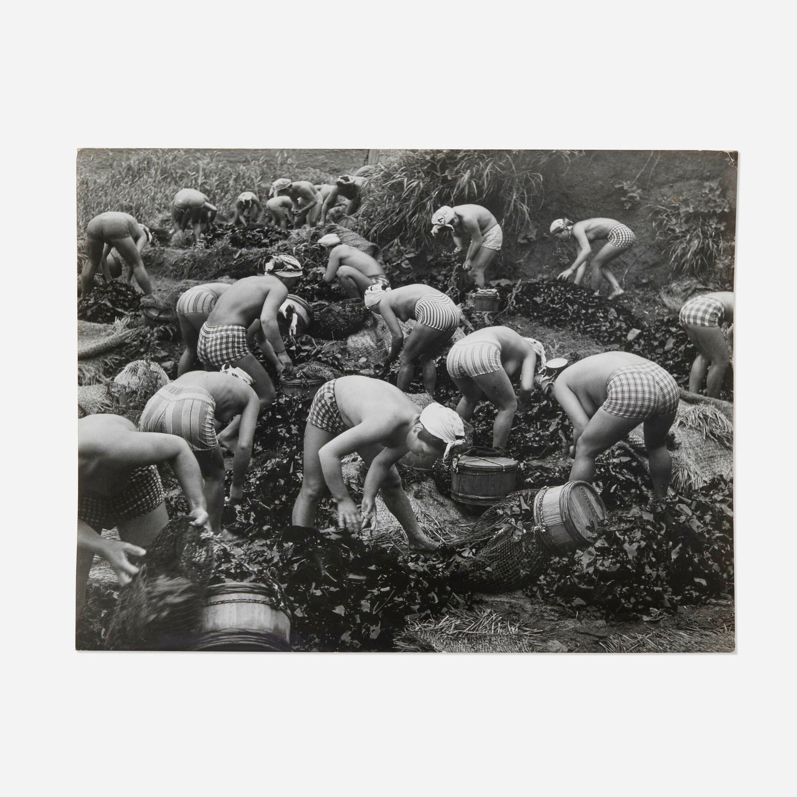Yoshiyuki Iwase, Seaweed Harvest (1 of 3)