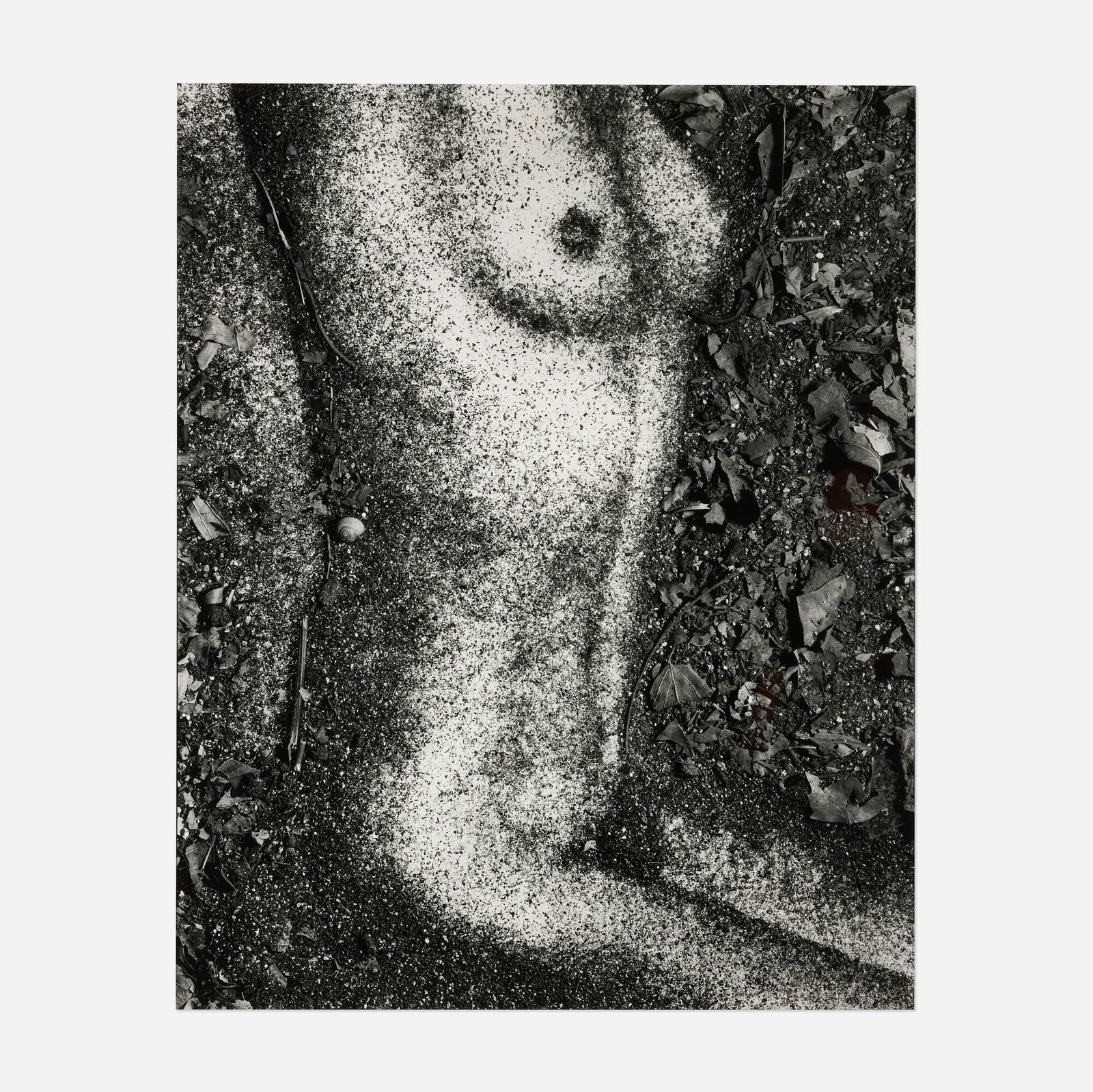 Vik Muniz, Torso, after Frantisek Drtikol (from the Pictures of Soil series): Vik Muniz Torso, after Frantisek Drtikol (from the Pictures of Soil series) 1997gelatin silver print mounted to board image: 50.25 h x 41.75 w in (128 x 106 cm) mount: 54 h x 44.125 w in (137 x 11