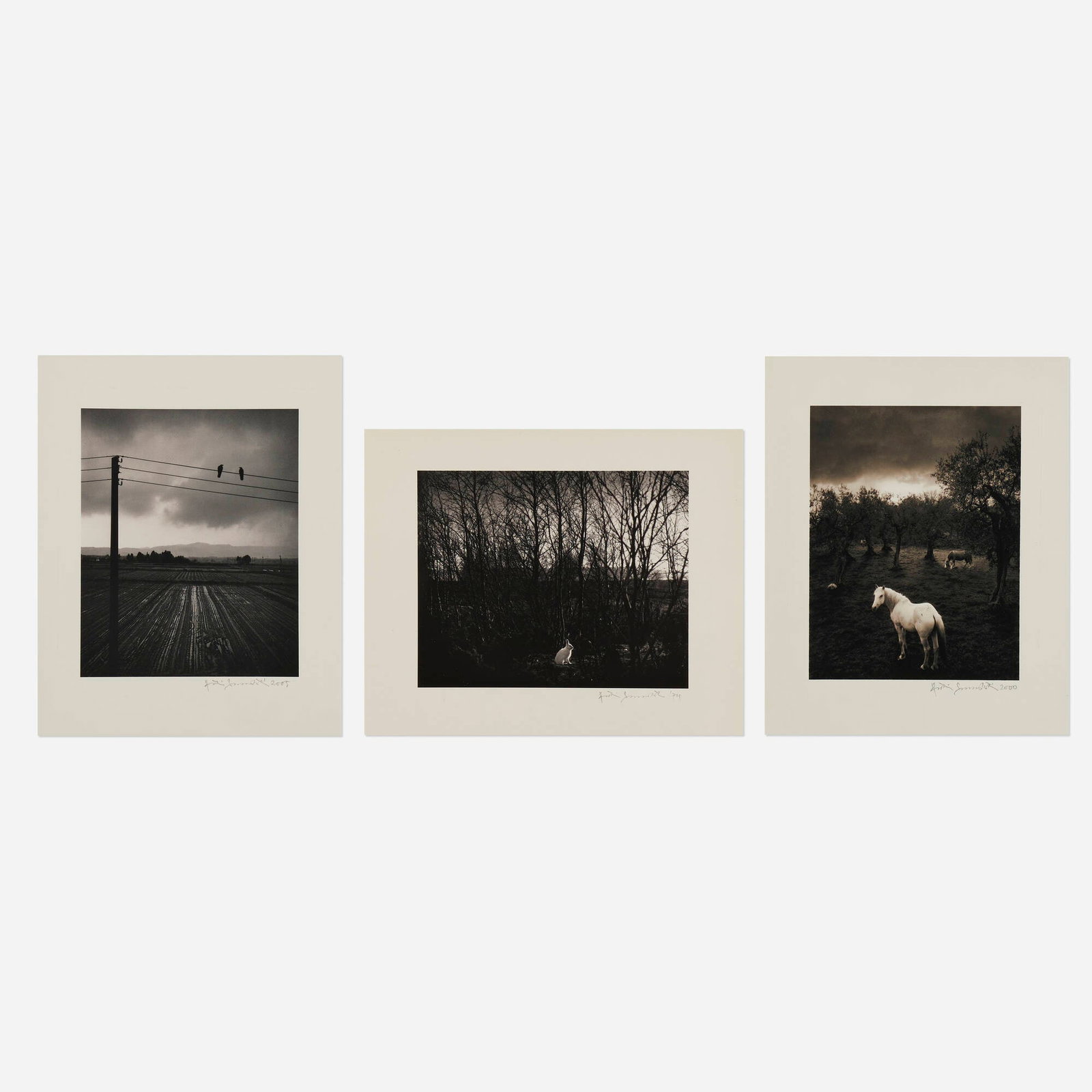 Pentti Sammallahti, Finland; Italy; Japan (three works): Pentti Sammallahti Signilskar, Aland, Finland; County of Client, Italy; Katakana-shi, Japan (three works) 1974, 2000, 2005 / printed later gelatin silver print image: 3.5 h x 2.75 w in (9 x 7 cm) s