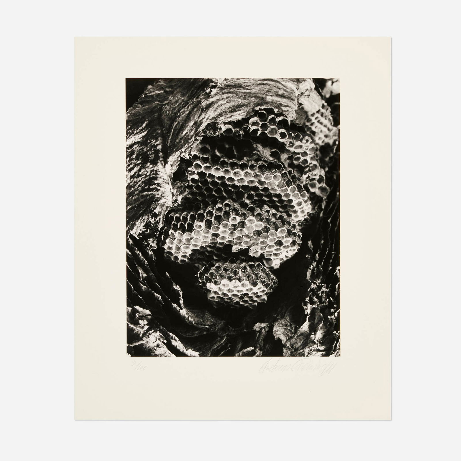 Andreas Feininger, Bee Comb: Andreas Feininger Bee Comb c. 1975gelatin silver print image: 12.25 h x 9.375 w in (31 x 24 cm) mount: 17 h x 14 w in (43 x 36 cm) Signed and numbered to lower edge of mount '2/100 Andreas