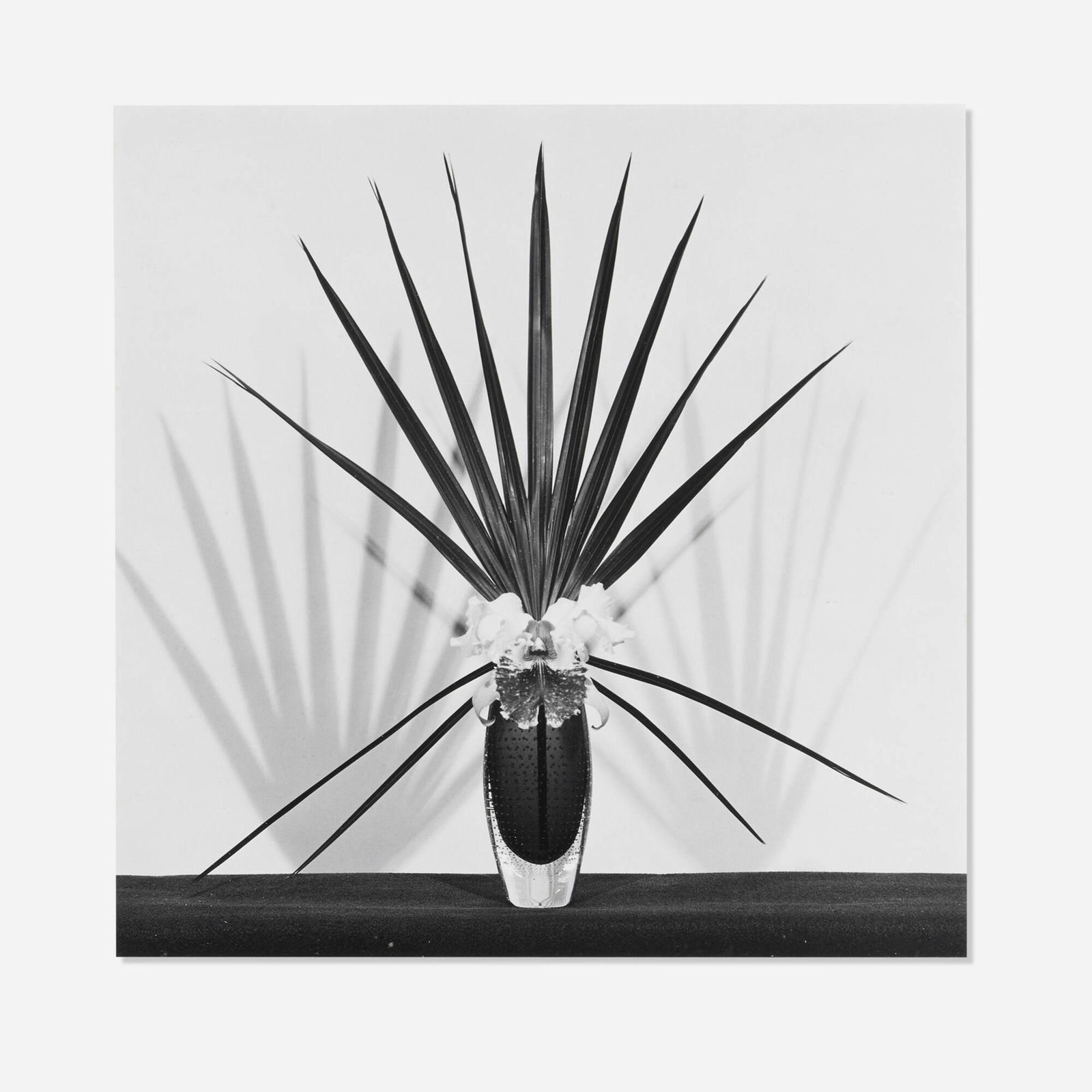 Robert Mapplethorpe, Orchid with Palmetto Leaf (1 of 6)