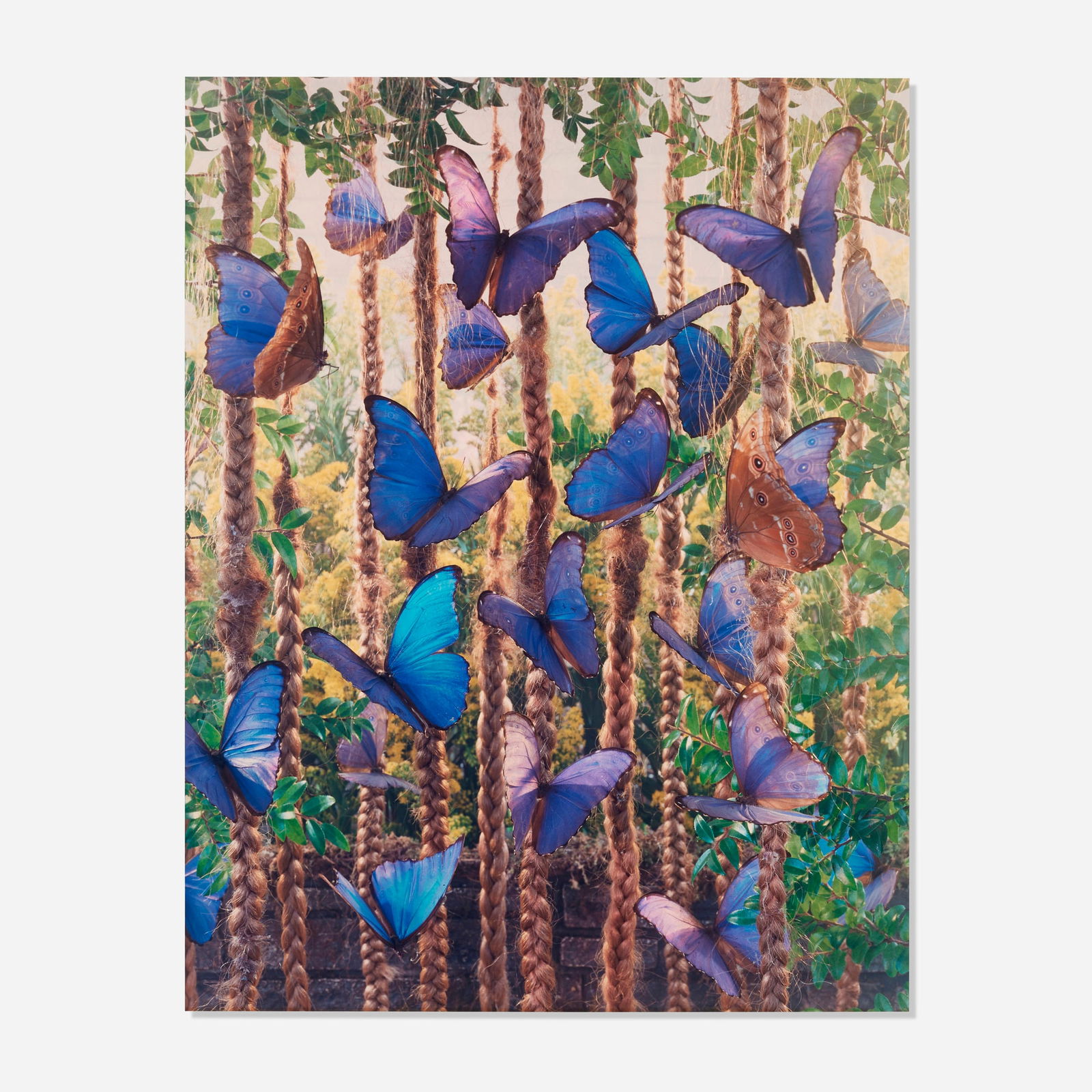 Gregory Crewdson, Untitled (butterflies and braids-vertical) (from the Natural Wonder series): Gregory Crewdson Untitled (butterflies and braids-vertical) (from the Natural Wonder series) 1997C-print image: 35.625 h x 27.625 w in (90 x 70 cm) sheet: 39.875 h x 29.875 w in (101 x 76 cm) m