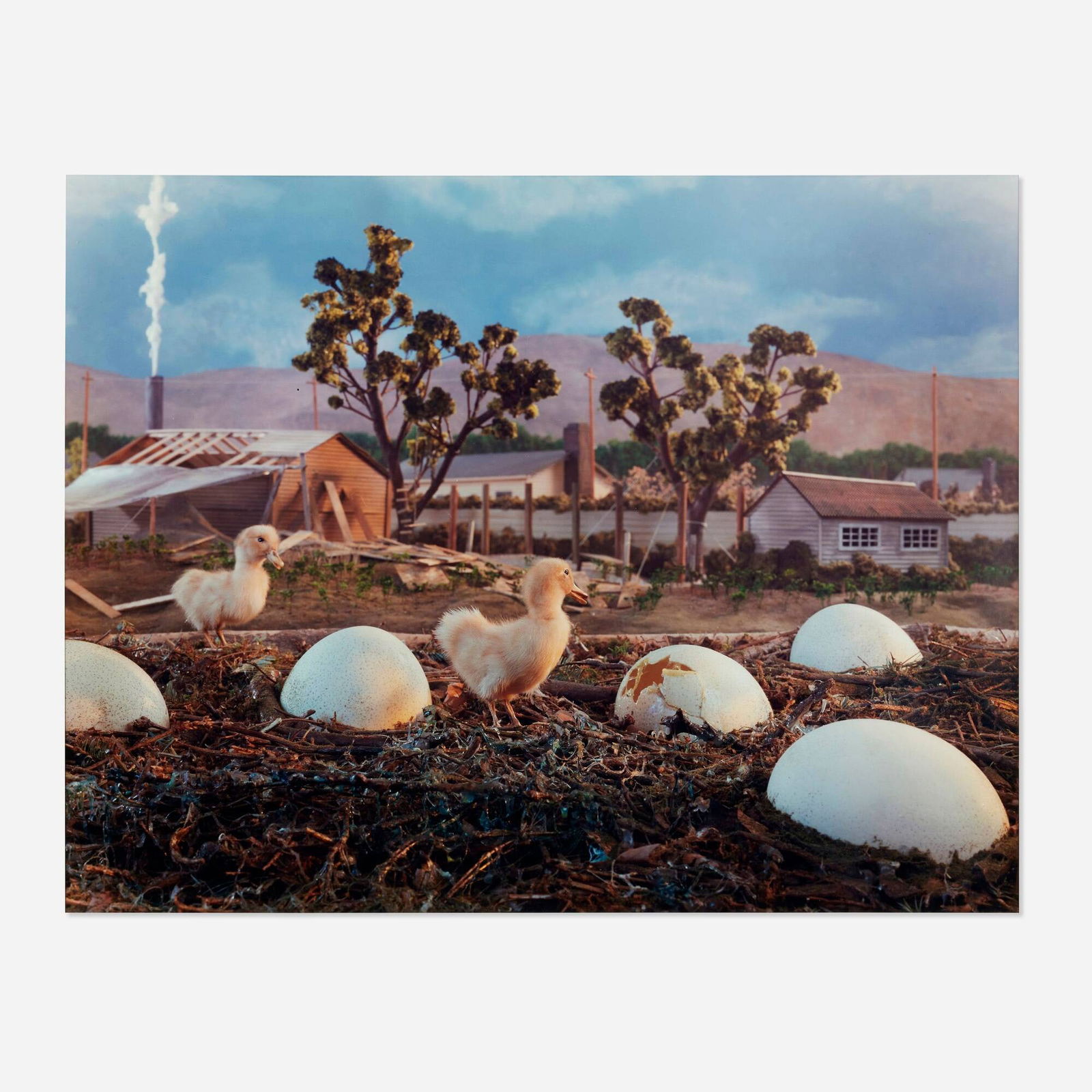 Gregory Crewdson, Untitled (ducks and ostrich eggs): Gregory Crewdson Untitled (ducks and ostrich eggs) 1994C-print image: 27.875 h x 35.875 w in (71 x 91 cm) sheet: 29.750 h x 38.625 w in (76 x 98 cm) mount: 34.000 h x 41.750 w in (86 x 106 cm)<