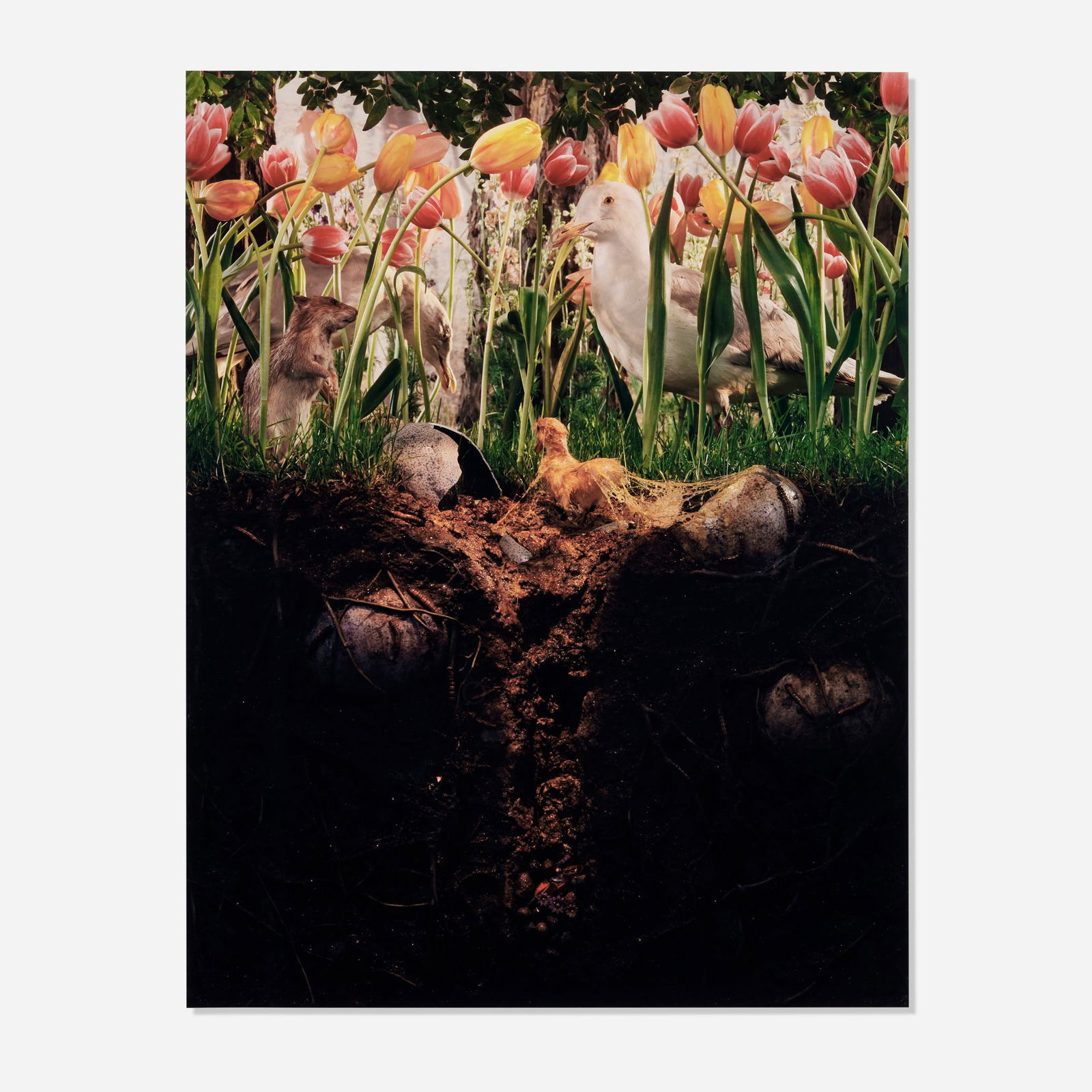 Gregory Crewdson, Untitled (eggs and chick): Gregory Crewdson Untitled (eggs and chick) 1994C-print image: 36.000 h x 28.000 w in (91 x 71 cm) sheet: 40.000 h x 30.000 w in (102 x 76 cm) mount: 42.000 h x 33.750 w in (107 x 86 cm)