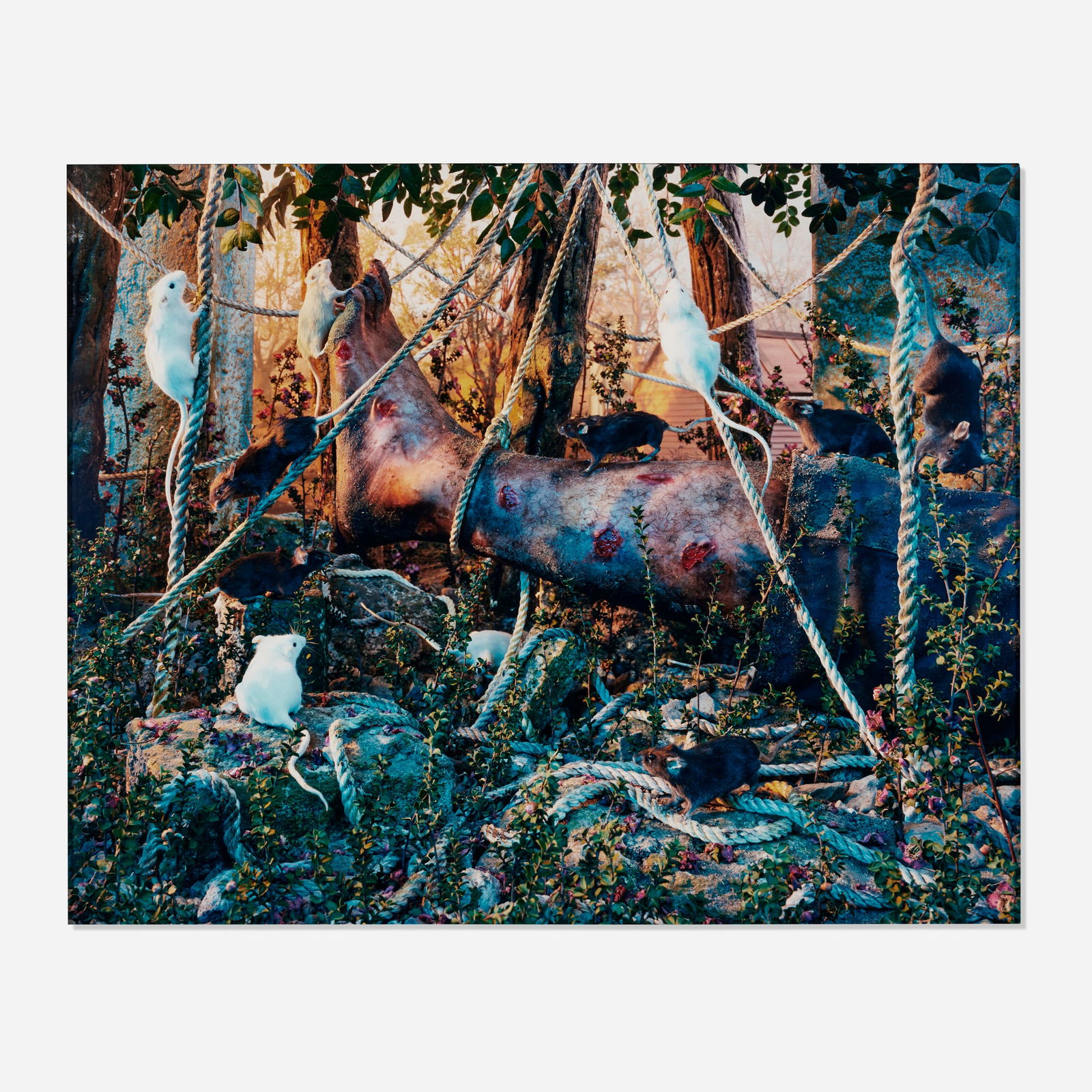 Gregory Crewdson, Untitled (leg and mice): Gregory Crewdson Untitled (leg and mice) 1996C-print mounted to Sintra 36.750 h x 46.000 w in (93 x 117 cm) This work is number 1 from the edition of 6. Sold with signed label from Luhring Aug