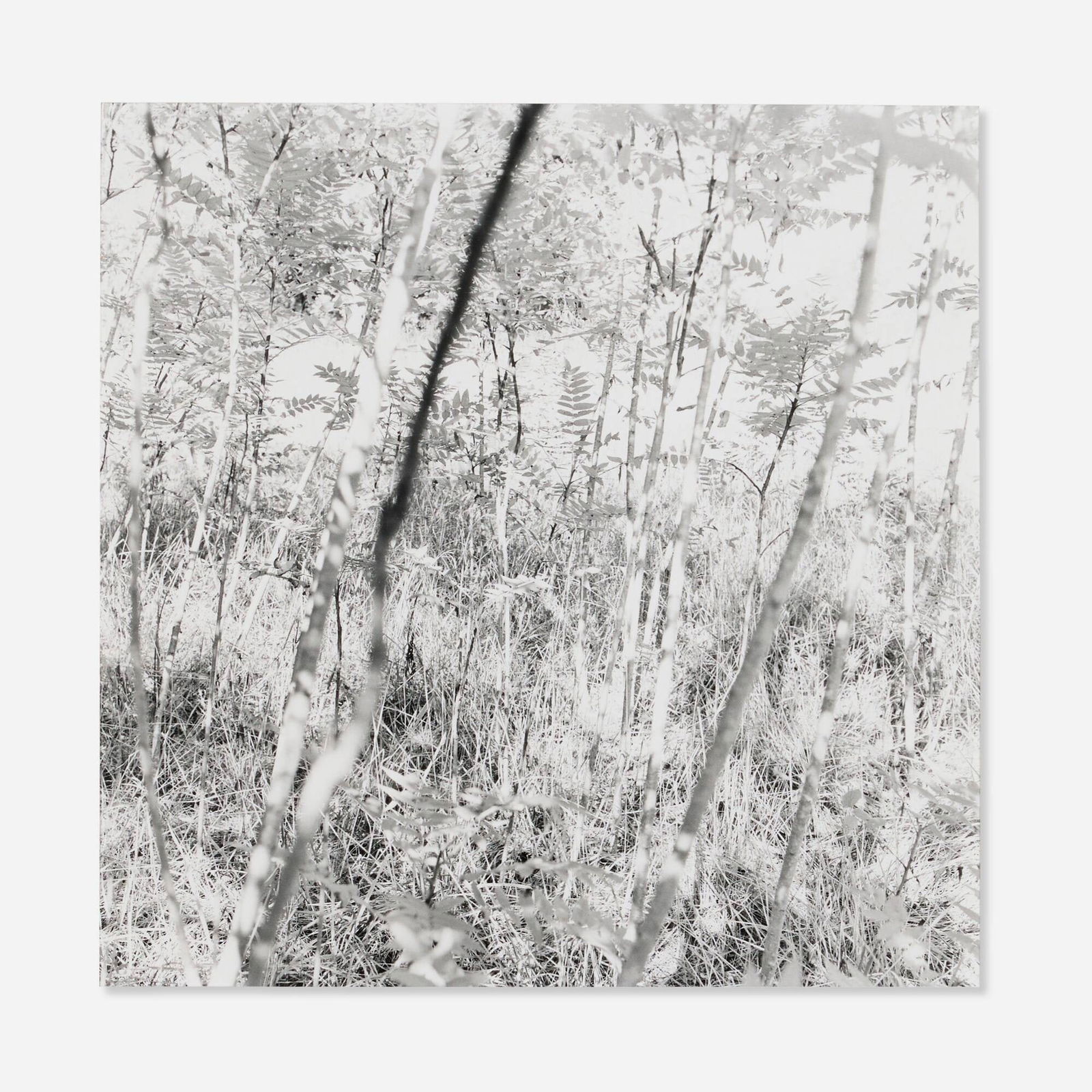 Ray Metzker, Frederick County, Maryland (from the Earthly Delights series) (1 of 4)