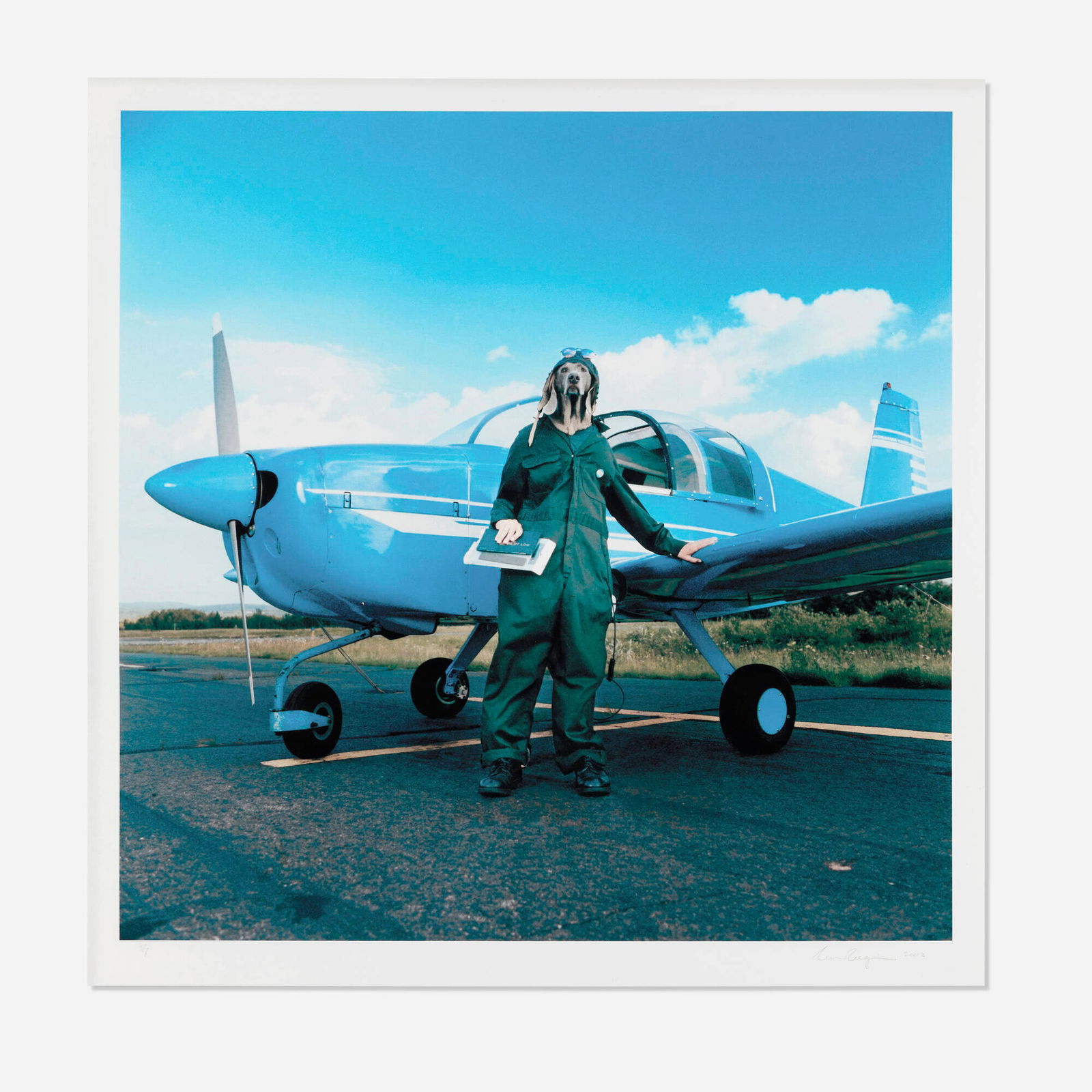 William Wegman, Endurance (1 of 4)