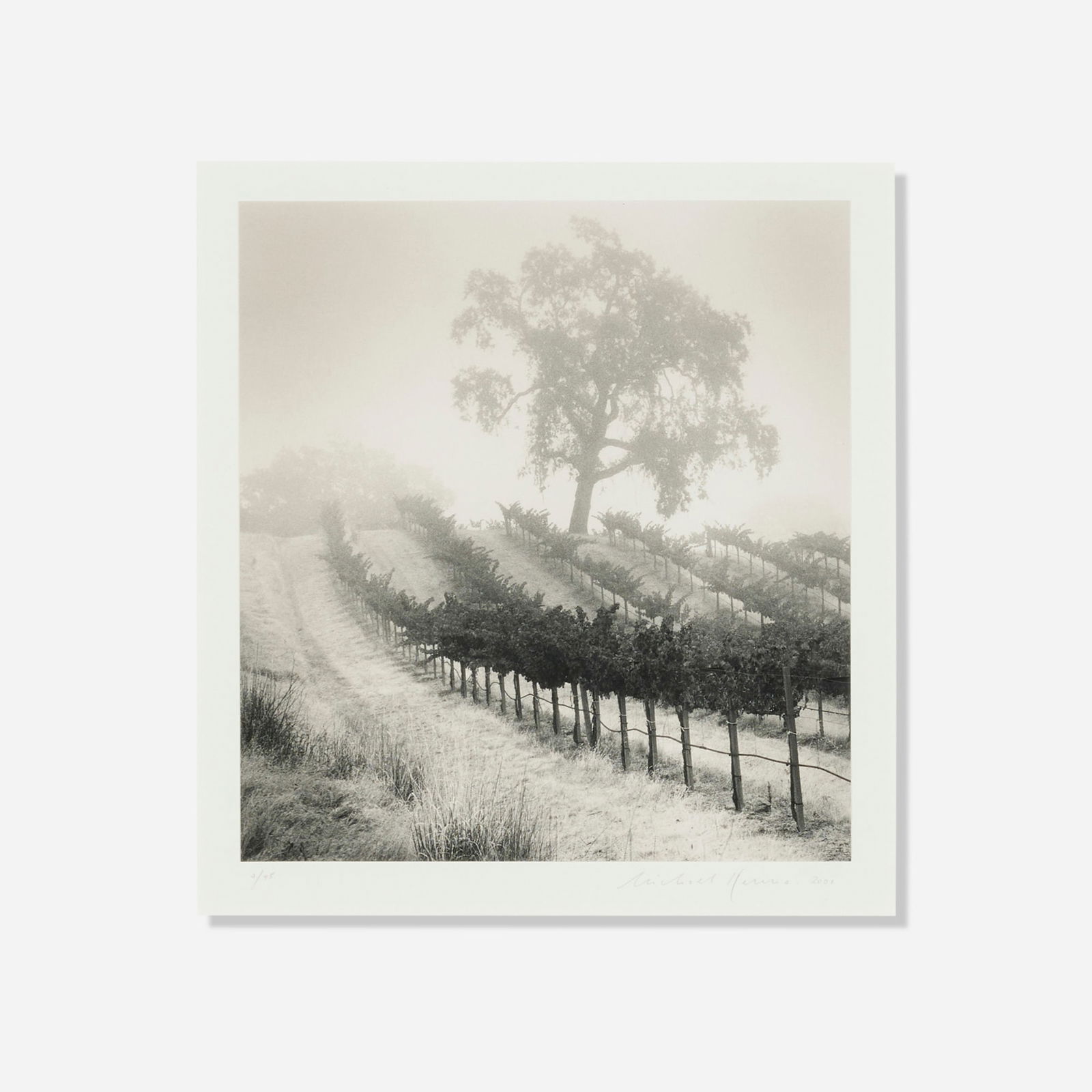 Michael Kenna, Knight's Valley Vineyard, Napa Valley, California: Michael Kenna Knight's Valley Vineyard, Napa Valley, California 2001gelatin silver print image: 7.75 h x 7.125 w in (20 x 18 cm) sight: 8.875 h x 8.25 w in (23 x 21 cm) Signed, dated and nu