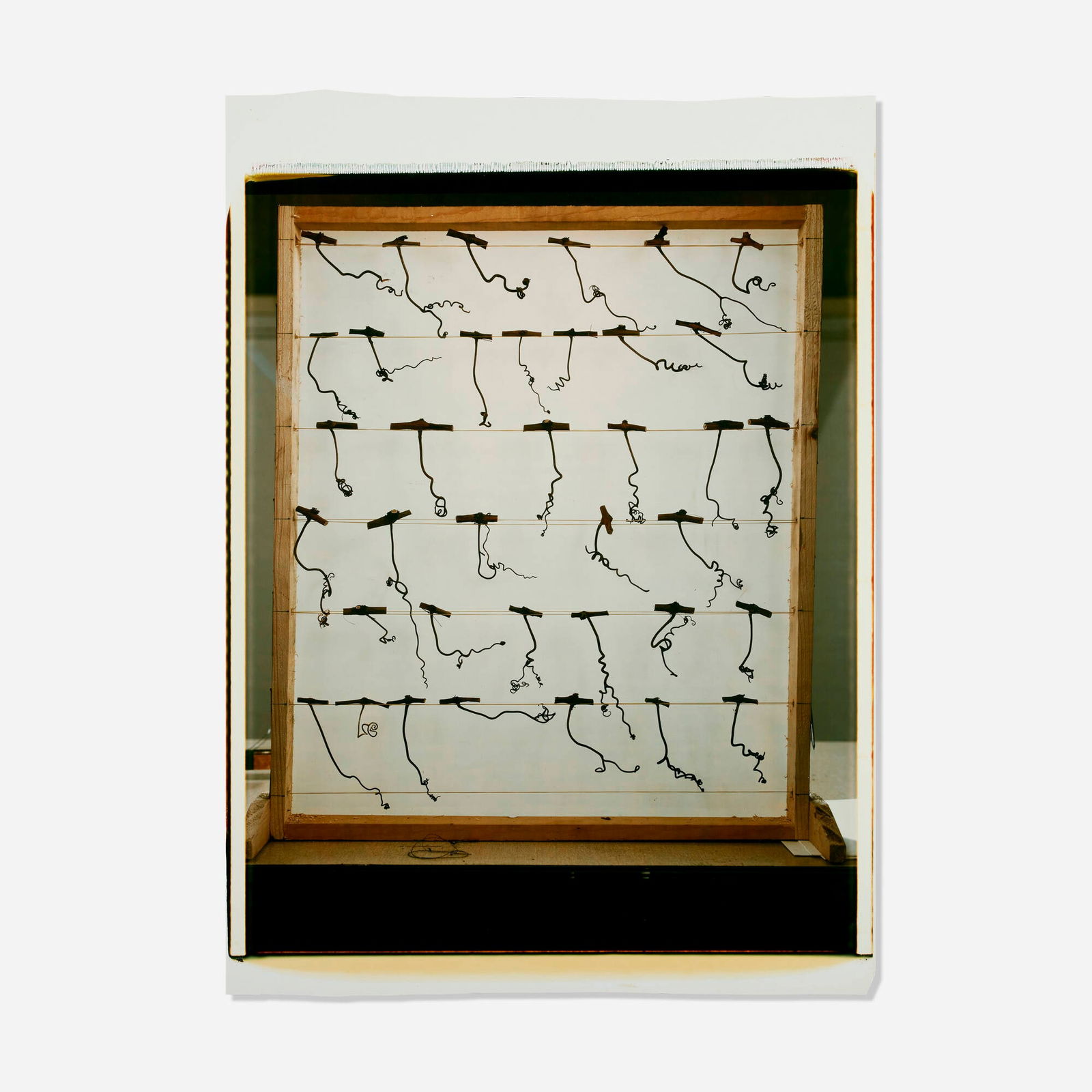 Robert Cumming, Untitled: Robert Cumming Untitled unique large-format Polaroid Polacolor print image: 24 h x 20 w in (61 x 51 cm) sheet: 22 h x 30.25 w in (56 x 77 cm) Signed to verso 'Robert Cumming'. Prov