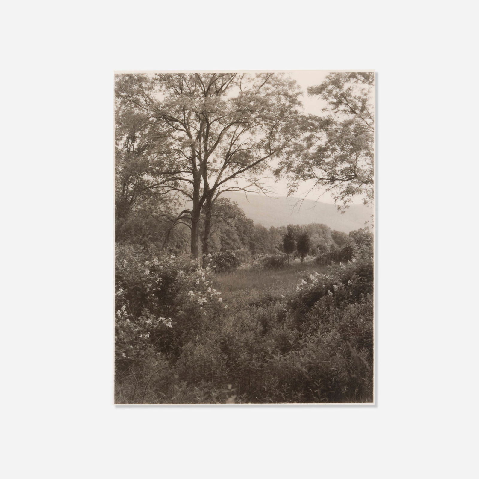 Jan Groover, Playing Field, New Jersey: Jan Groover Playing Field, New Jersey 1981platinum print image: 9.375 h x 7.375 w in (24 x 19 cm) sheet: 13.625 h x 10.5 w in (35 x 27 cm) Signed, dated and numbered to lower left 'Jan Groo