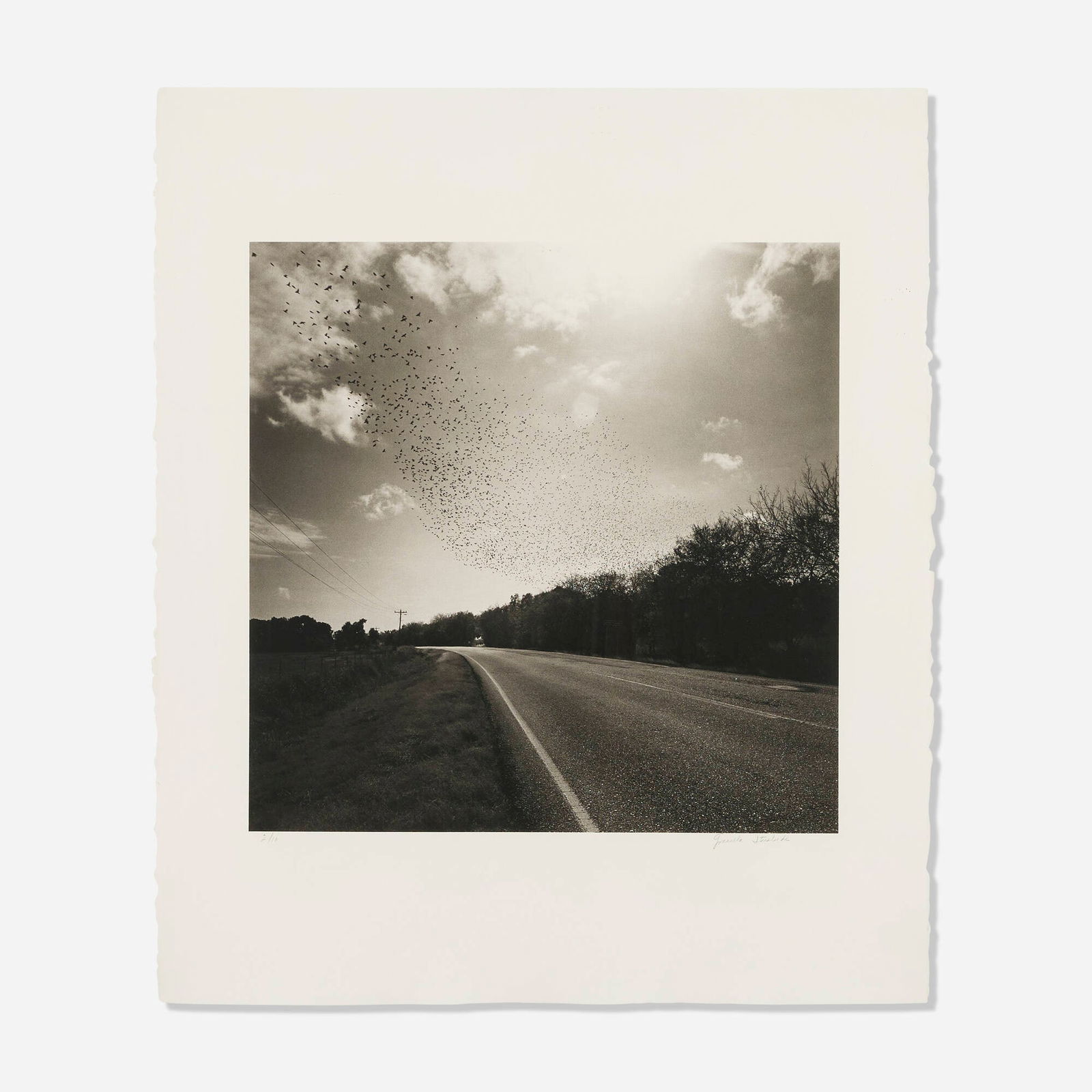 Graciela Iturbide, Untitled (from the Pajaros portfolio): Graciela Iturbide Untitled (from the Pajaros portfolio) 1990photogravure image: 16.75 h x 16.75 w in (43 x 43 cm) sheet: 26.25 h x 22 w in (67 x 56 cm) Signed and numbered to lower margin '