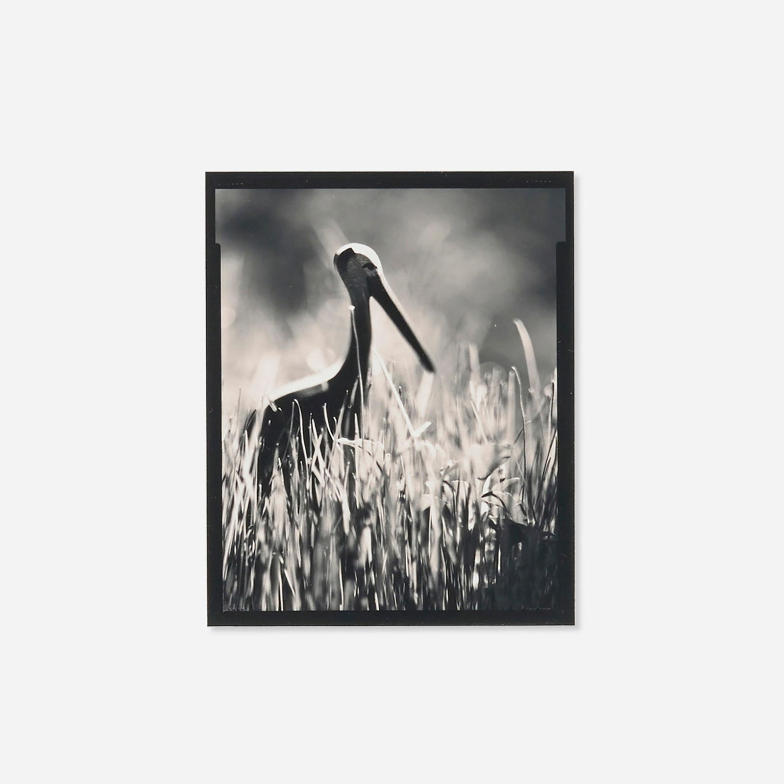 Michael Kenna, Stork in the Grass (from the Monique's Kindergarten series): Michael Kenna Stork in the Grass (from the Monique's Kindergarten series) 1997 / printed 1998sepia-toned gelatin silver print image: 4.75 h x 4 w in (12 x 10 cm) sheet: 10 h x 8 w in (25 x 20 cm)<