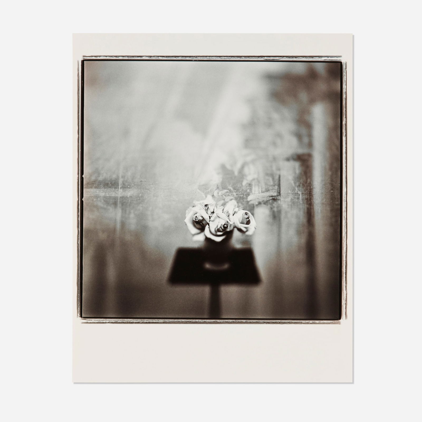 Keith Carter, White Roses: Keith Carter White Roses 1998gelatin silver print image: 15 h x 15 w in (38 x 38 cm) sheet: 20 h x 16 w in (51 x 41 cm) Signed, titled, dated and numbered to verso '14/50 White Rose Keith C