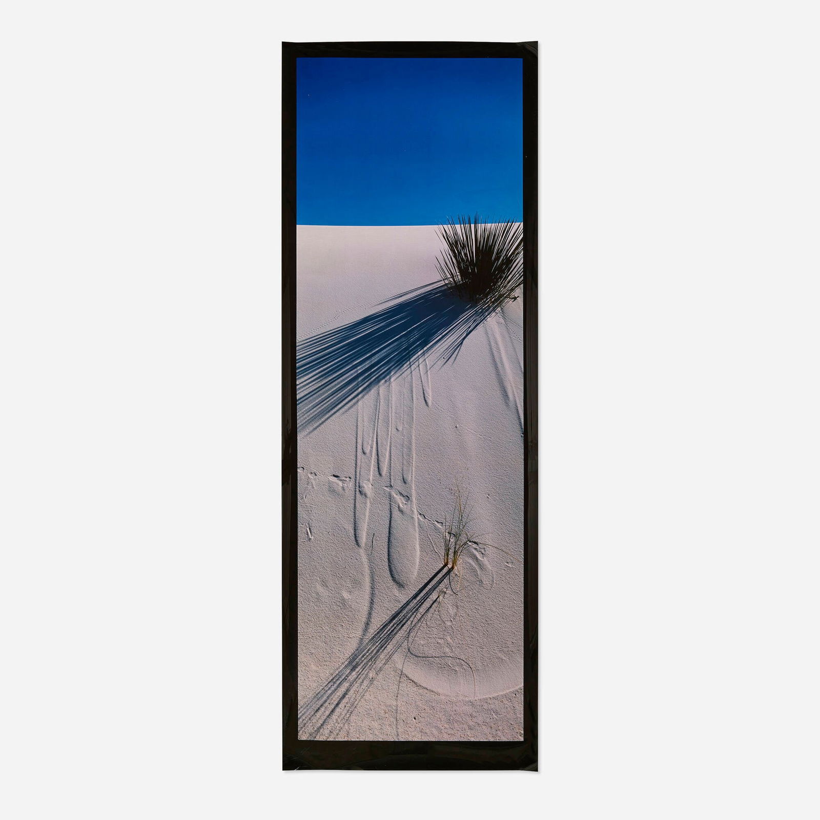 Lucien Clergue, White Sands I: Lucien Clergue White Sands I 1985 / printed 1985 Cibachrome image: 21.75 h x 65.75 w in (55 x 167 cm) sheet: 70.125 h x 24.75 w in (178 x 63 cm) Signed, titled, dated, numbered and inscribed to