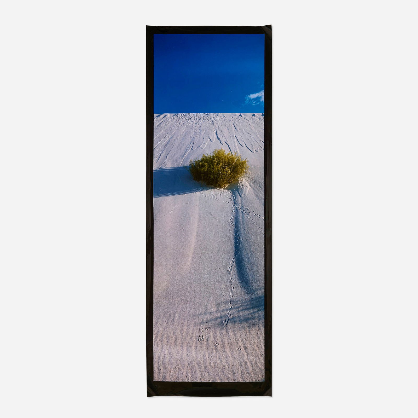 Lucien Clergue, White Sands III: Lucien Clergue White Sands III 1985 / printed 1987 Cibachrome image: 65.75 h x 21.75 w in (167 x 55 cm) sheet: 70.125 h x 24.75 w in (178 x 63 cm) Signed, titled, dated, numbered and inscribed to