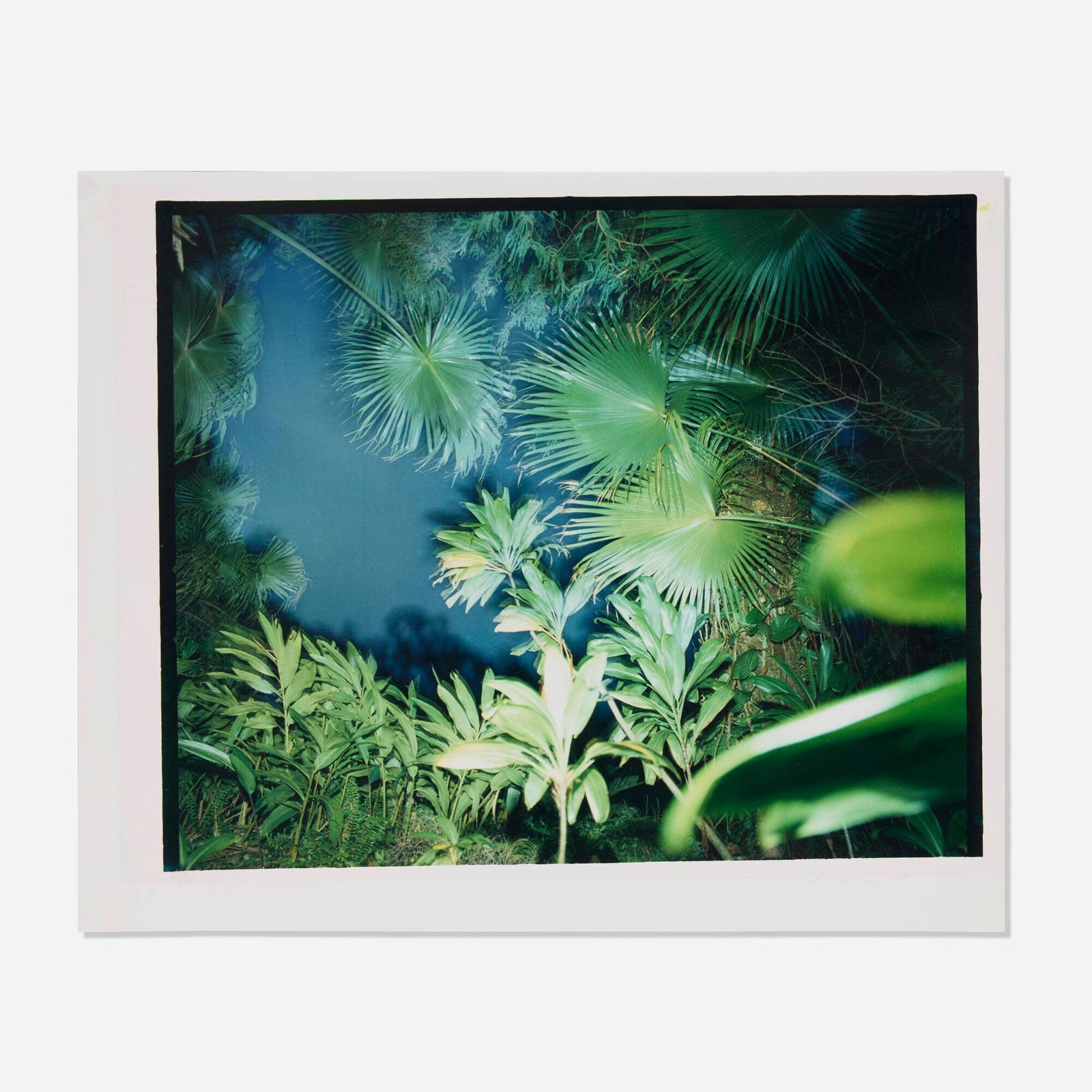 Richard Misrach, Untitled (from the Hawaii portfolio): Richard Misrach Untitled (from the Hawaii portfolio) 1978 vintage dye transfer print image: 15.125 h x 18.75 w in (38 x 48 cm) sheet: 17.375 h x 21.25 w in (44 x 54 cm) Signed, dated and numbered