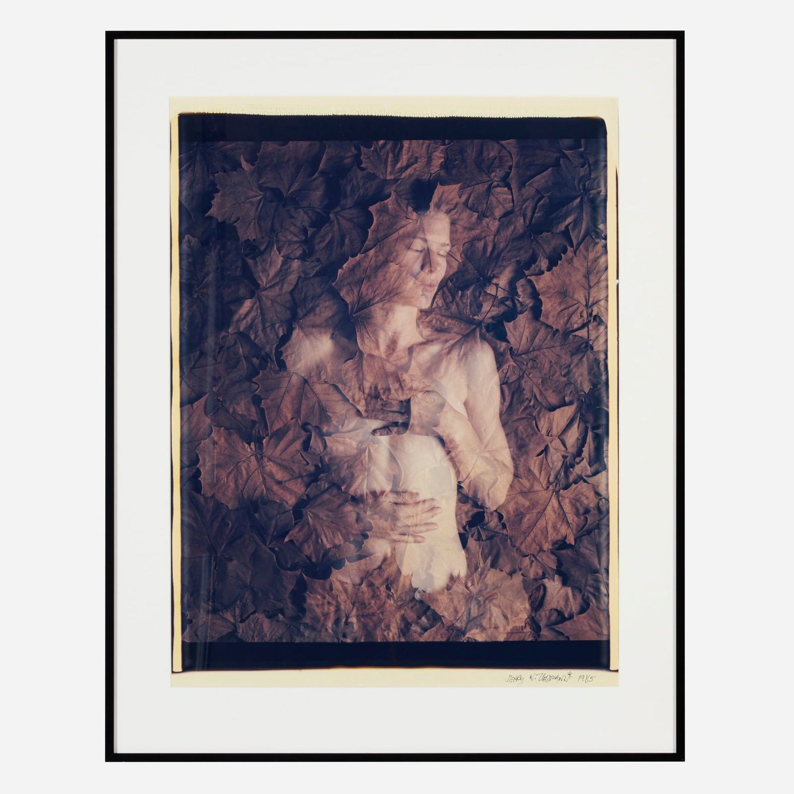 Jerry Uelsmann, Untitled - 2