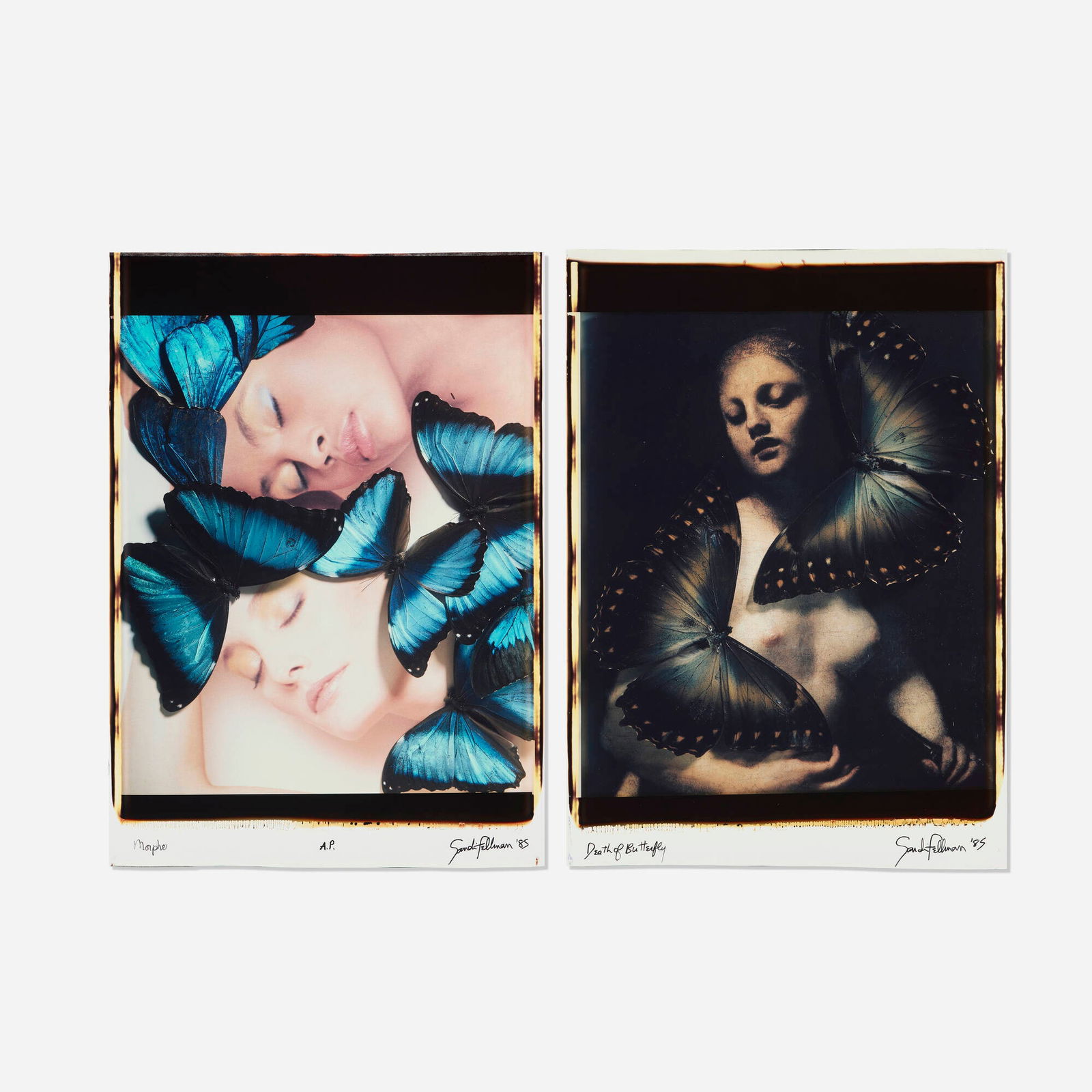 Sandi Fellman, Death of Butterfly; Morphe (two works): Sandi Fellman Death of Butterfly; Morphe (two works) 1985unique large-format Polaroid Polacolor print image (each): 24 h x 20 w in (61 x 51 cm) sheet: 31.25 h x 22 w in (79 x 56 cm) sheet: 31 h