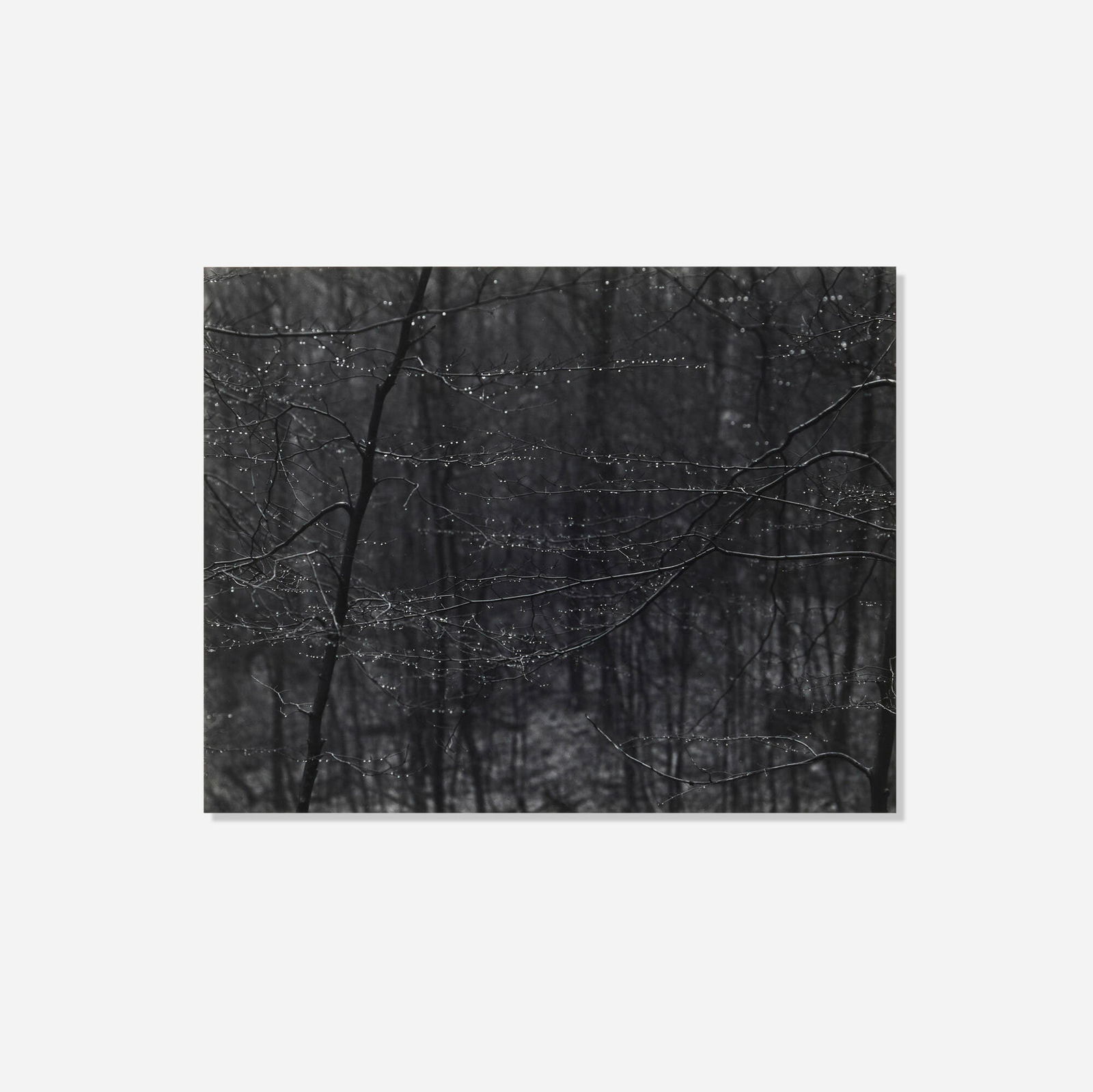 Paul Caponigro, Redding, CT (1 of 4)