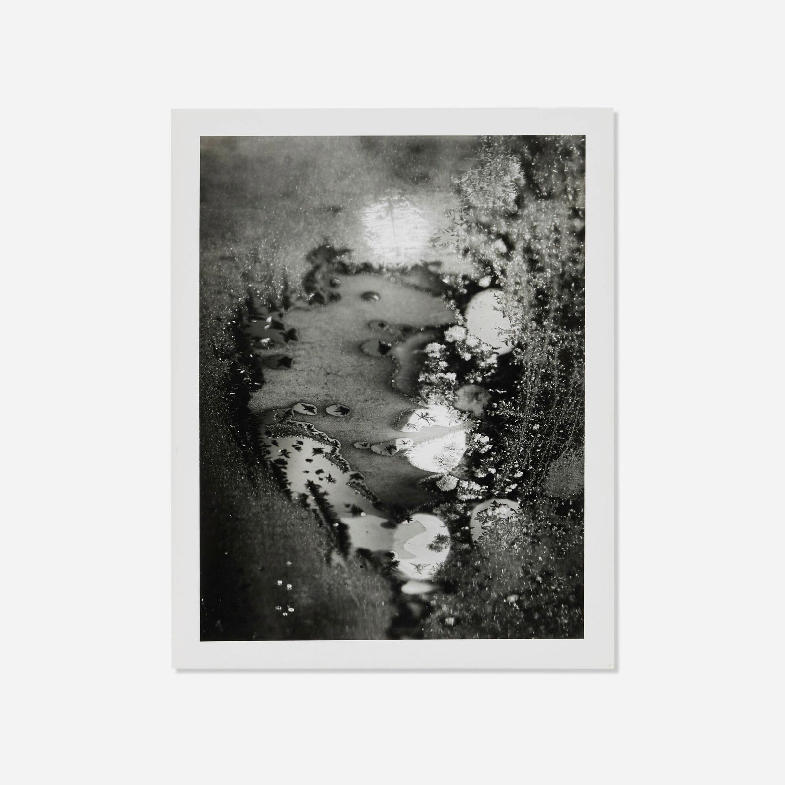 Minor White, Beginnings (1 of 5)