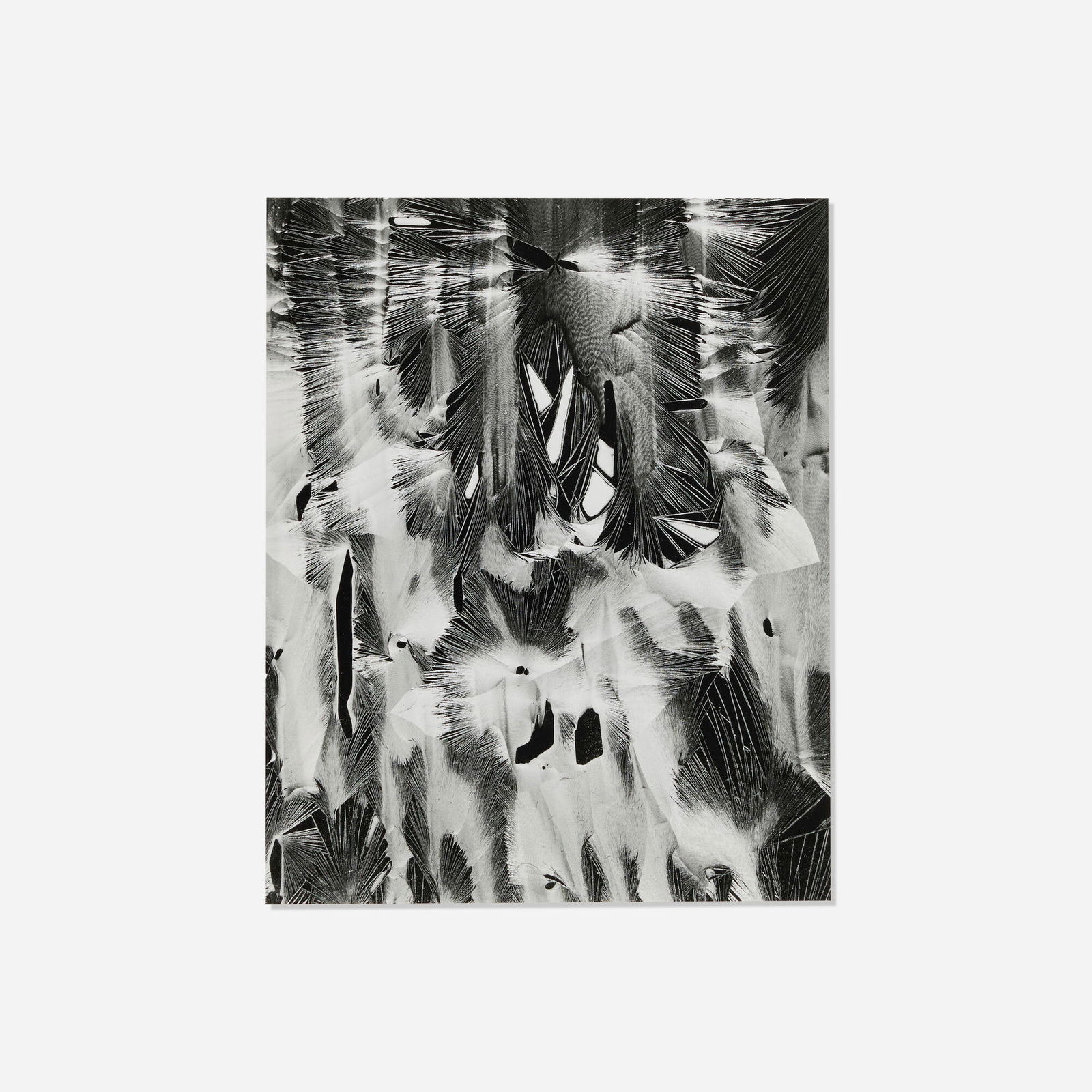 Brett Weston, Cracked Paint, Garapata, CA (from the Fifteen Photographs portfolio) (1 of 4)