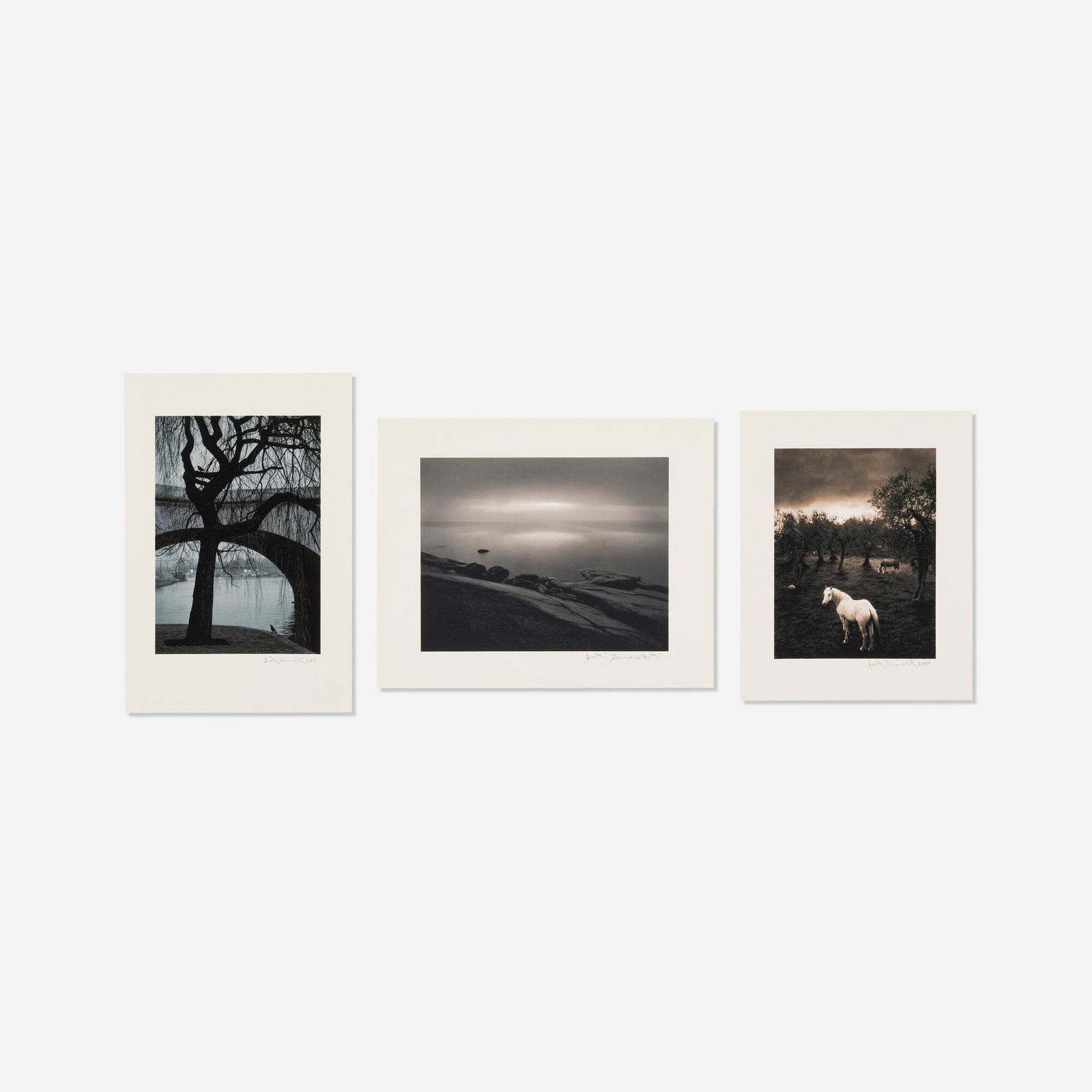 Pentti Sammallahti, Cilento, Italy (White Horse); Paris; Haapasaari (three works): Pentti Sammallahti Cilento, Italy (White Horse); Paris; Haapasaari (three works) 1980, 2000, 2011 gelatin silver print image (largest: 3.25 h x 4.25 w in (8 x 11 cm) image (smallest): 2.75 h x 3.5