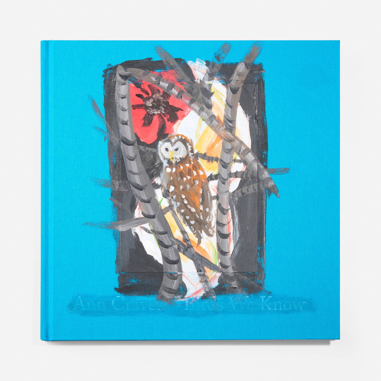 Ann Craven, Birds We Know book with original painting: Ann Craven Birds We Know book with original painting 2019oil on bound book 11.25 h x 11.25 w x 1 d in (29 x 29 x 3 cm) Book features an original work by the artist on the front cover. Signed,