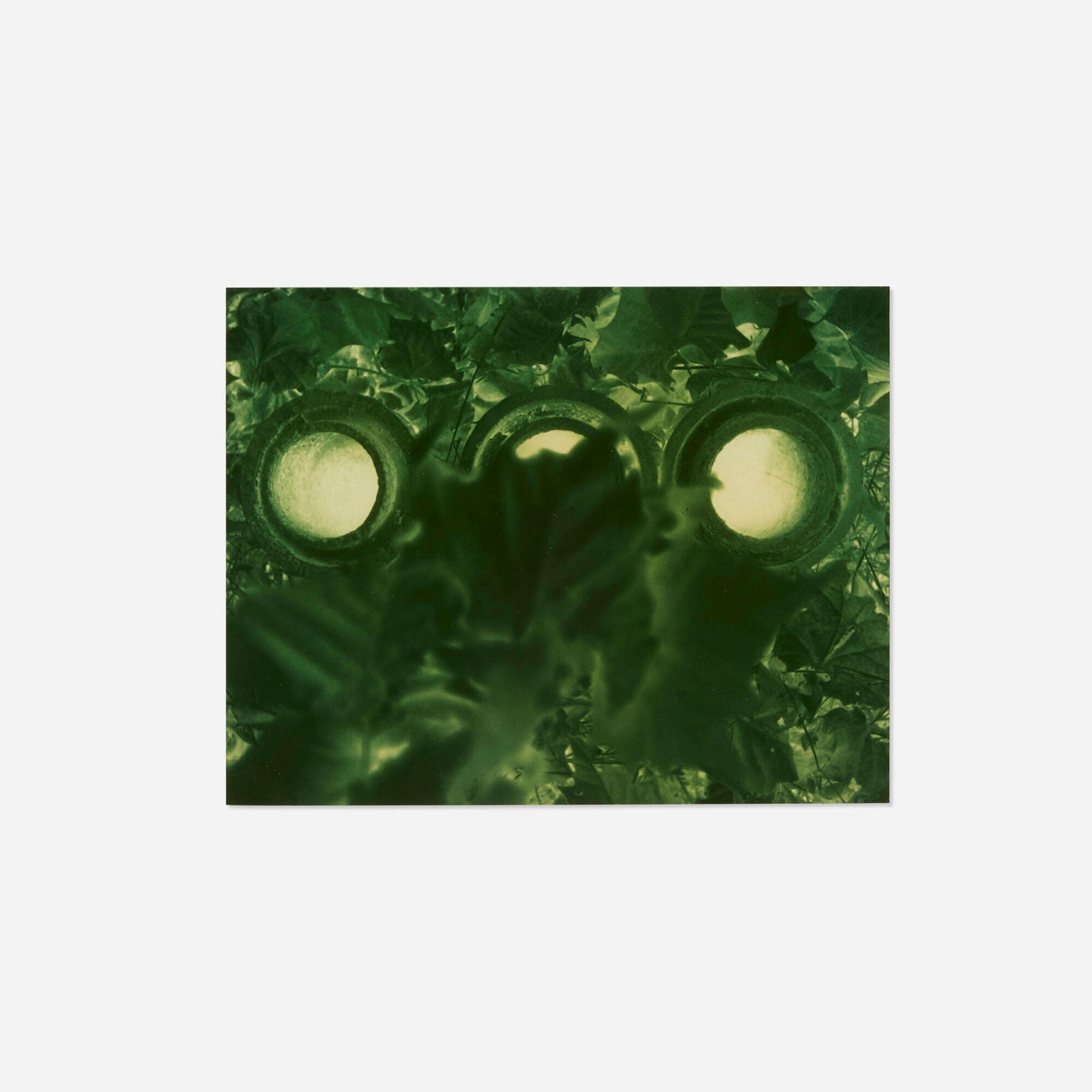 Jimmy DeSana, Leaf (1 of 4)