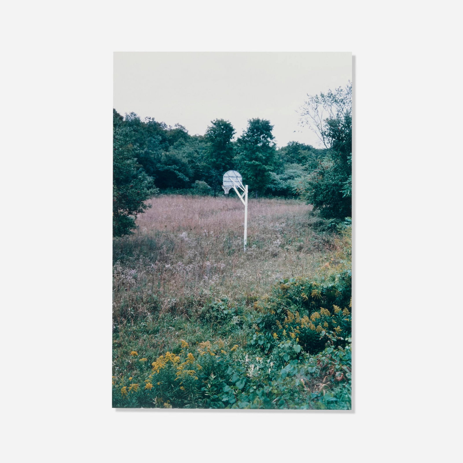 Richard Prince, Untitled (The Girl Next Door): Richard Prince Untitled (The Girl Next Door) 1996-99 Ektacolor print image: 19.5 h x 13 w in (50 x 33 cm) sheet: 20 h x 16 w in (51 x 41 cm) mount: 25.75 h x 19.25 w in (65 x 49 cm) This work is