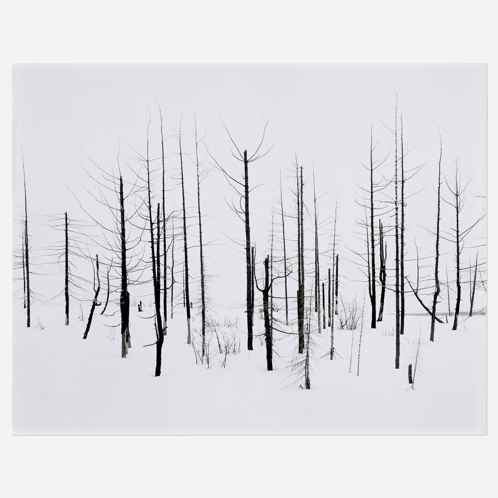 Darren Almond, 69th Parallel 2: Darren Almond 69th Parallel 2 2005 gelatin silver print mounted to aluminum 37 h x 47 w in (94 x 119 cm) Signed to label verso 'Darren Almond'. This work is number 1 from the edition of 5. <