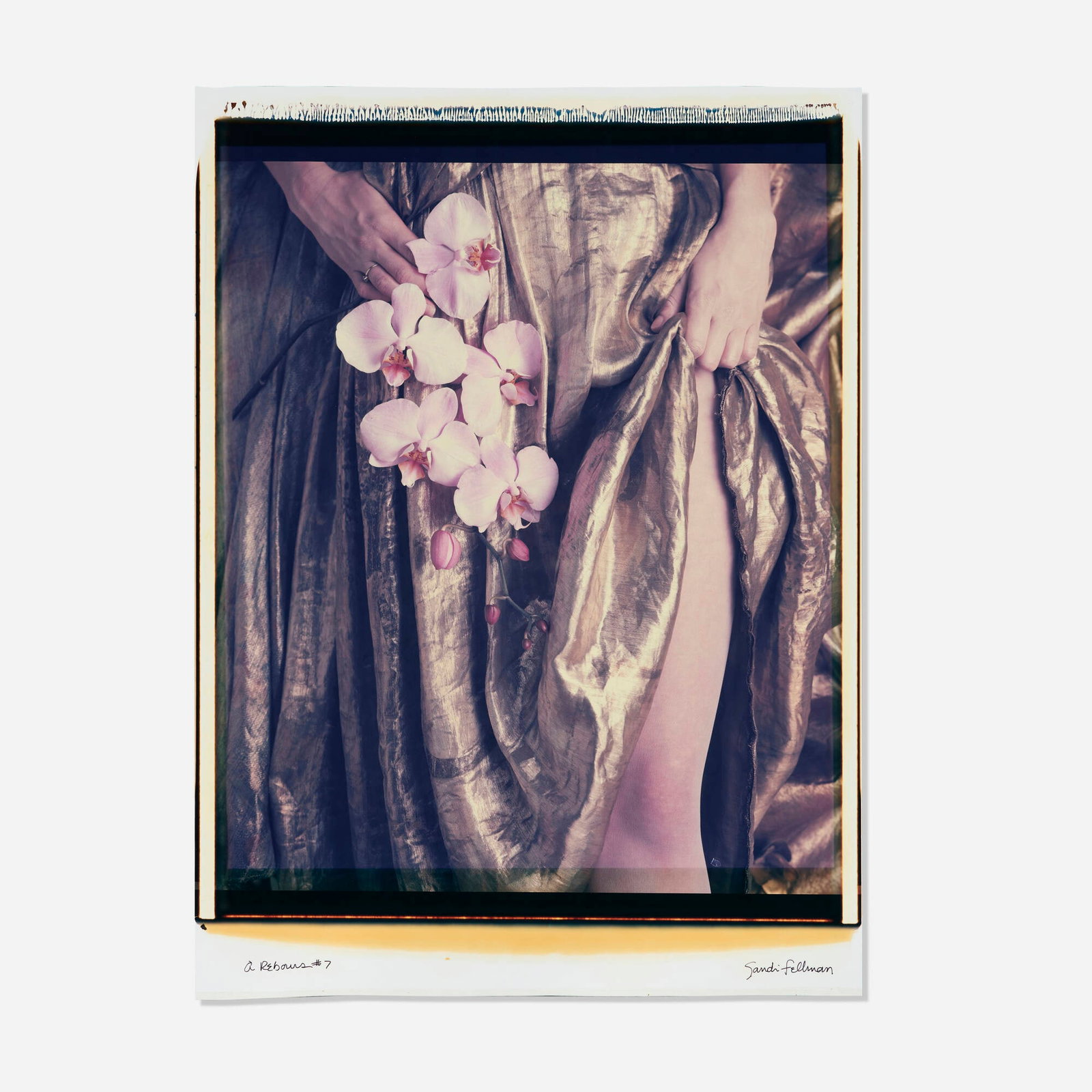 Sandi Fellman, A Rebours #7; Untitled (two works) (1 of 3)