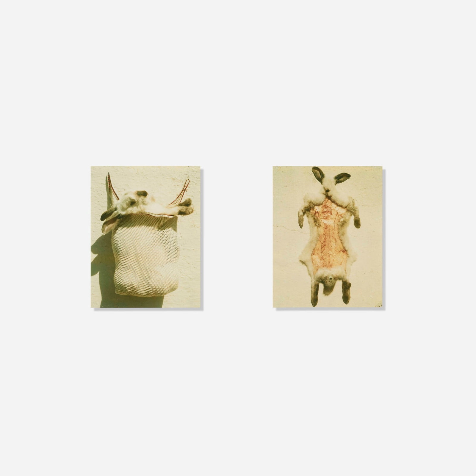 Barbara Crane, Untitled (diptych) (from the Tucson Portfolio II) (1 of 4)