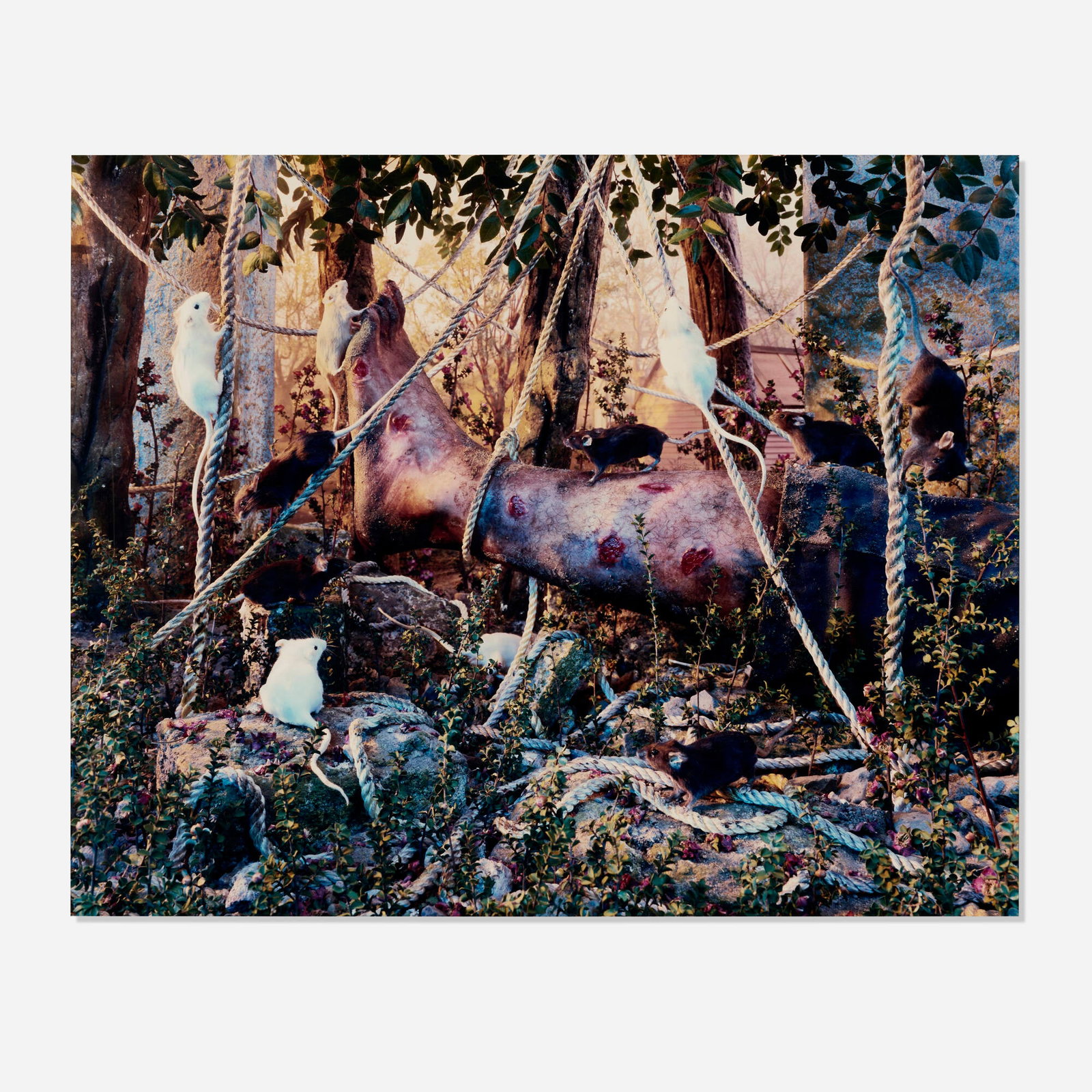 Gregory Crewdson, Untitled (leg and mice) (1 of 4)