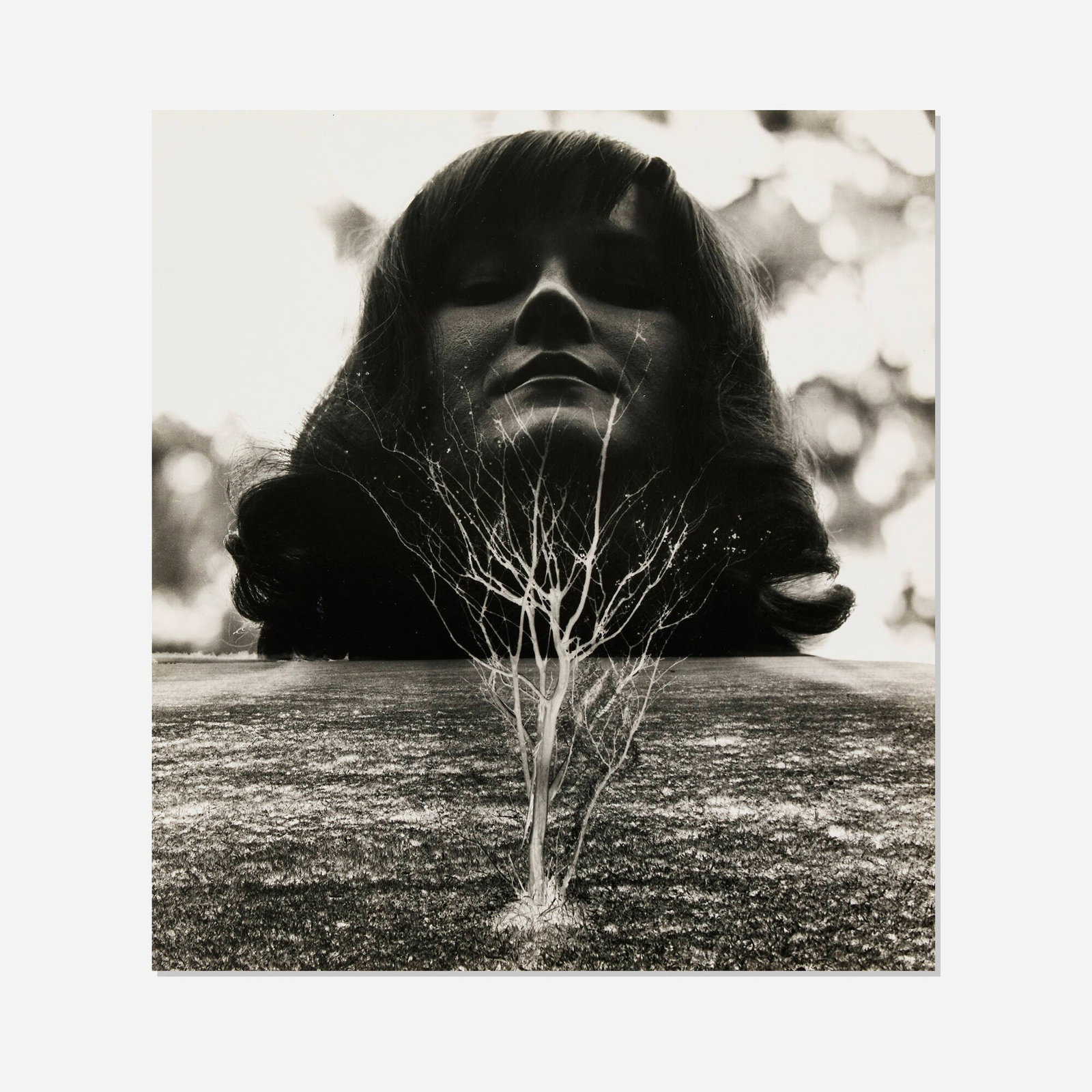 Jerry Uelsmann, Untitled (1 of 4)