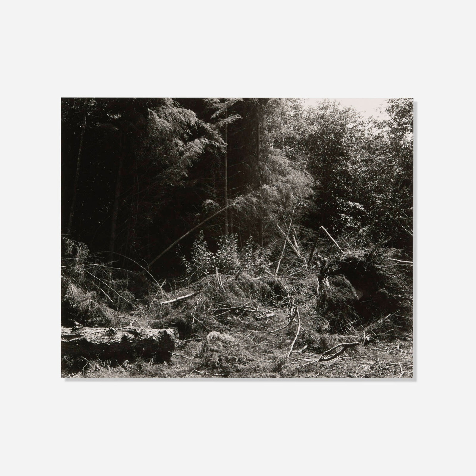 Robert Adams, Bulldozed Slash, Tillamook County, Oregon and From the Missouri West: Photographs (1 of 7)
