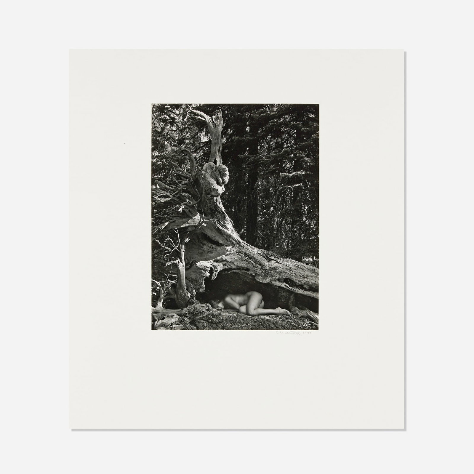 Cole Weston, Nude, Lake Almadon (1 of 3)