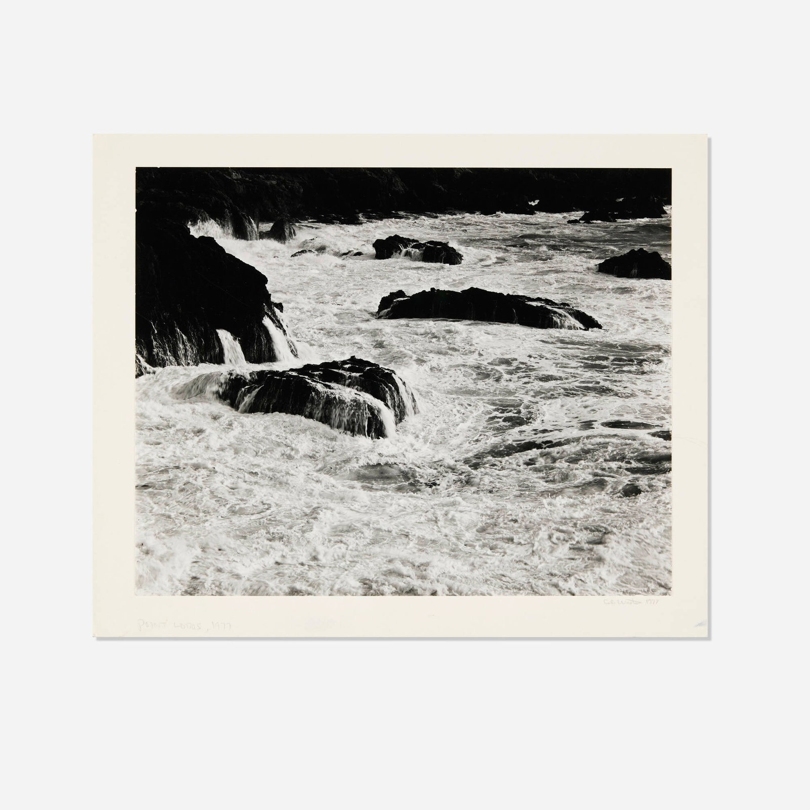 Cole Weston, Point Lobos (1 of 3)