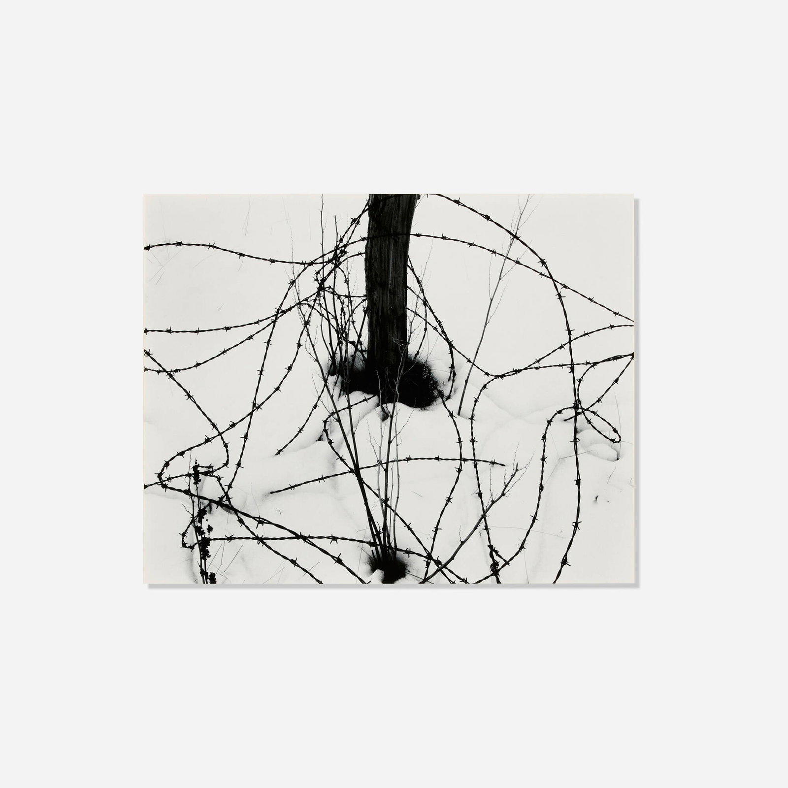 Brett Weston, Untitled (Barbed Wired and Fencepost): Brett Weston Untitled (Barbed Wired and Fencepost) 1962 vintage gelatin silver print image: 7.625 h x 9.625 w in (19 x 24 cm) mount: 13.25 h x 15 w in (34 x 38 cm) Signed and dated to mount