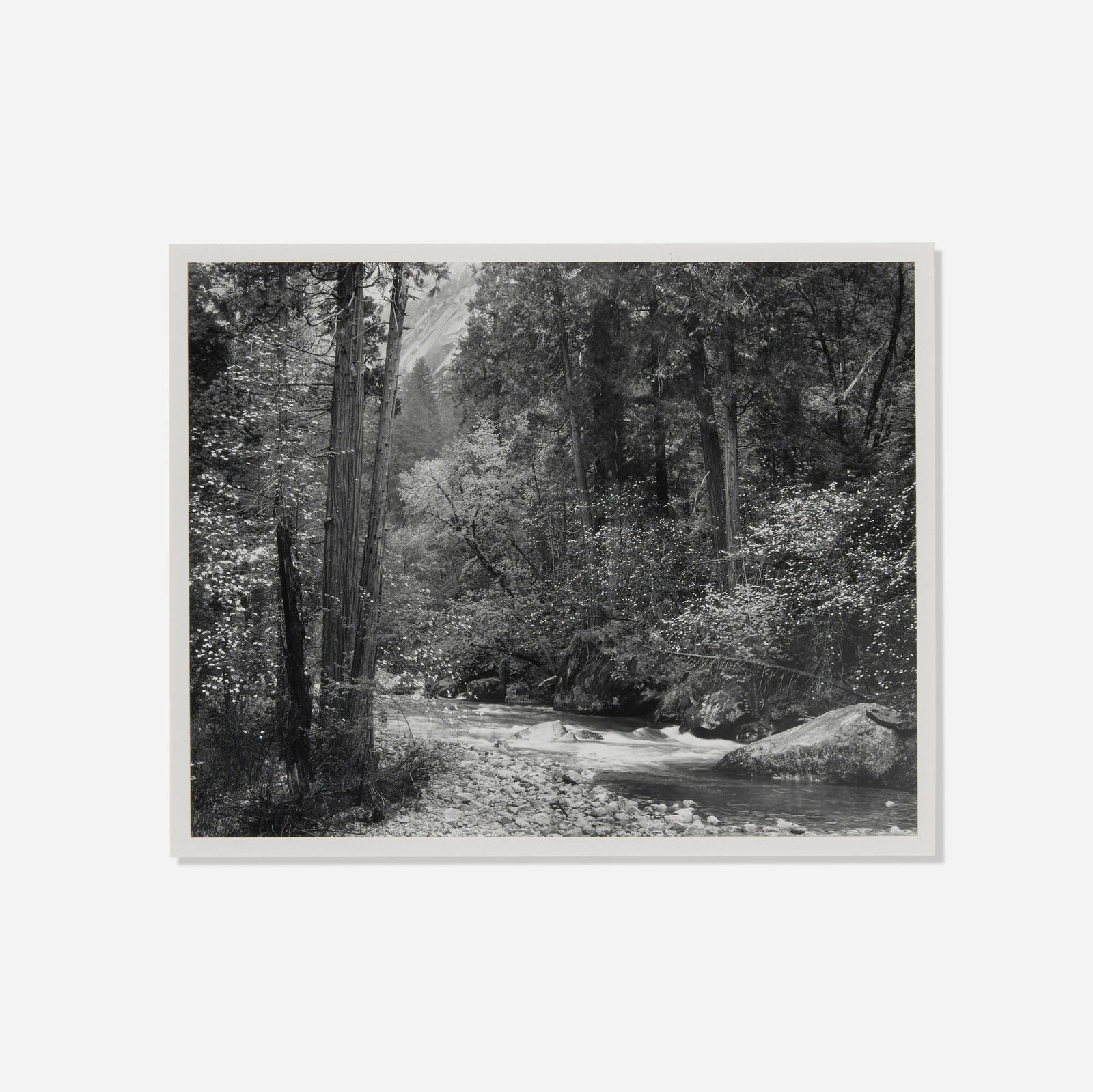 Ansel Adams, Tenaya Creek, Dogwood, Rain Yosemite National Park, California: Ansel Adams Tenaya Creek, Dogwood, Rain Yosemite National Park, California c. 1955 / printed later gelatin silver print image: 7.5 h x 9.375 w in (19 x 24 cm) mount: 13.5 h x 16.5 w in (34 x 42 cm)