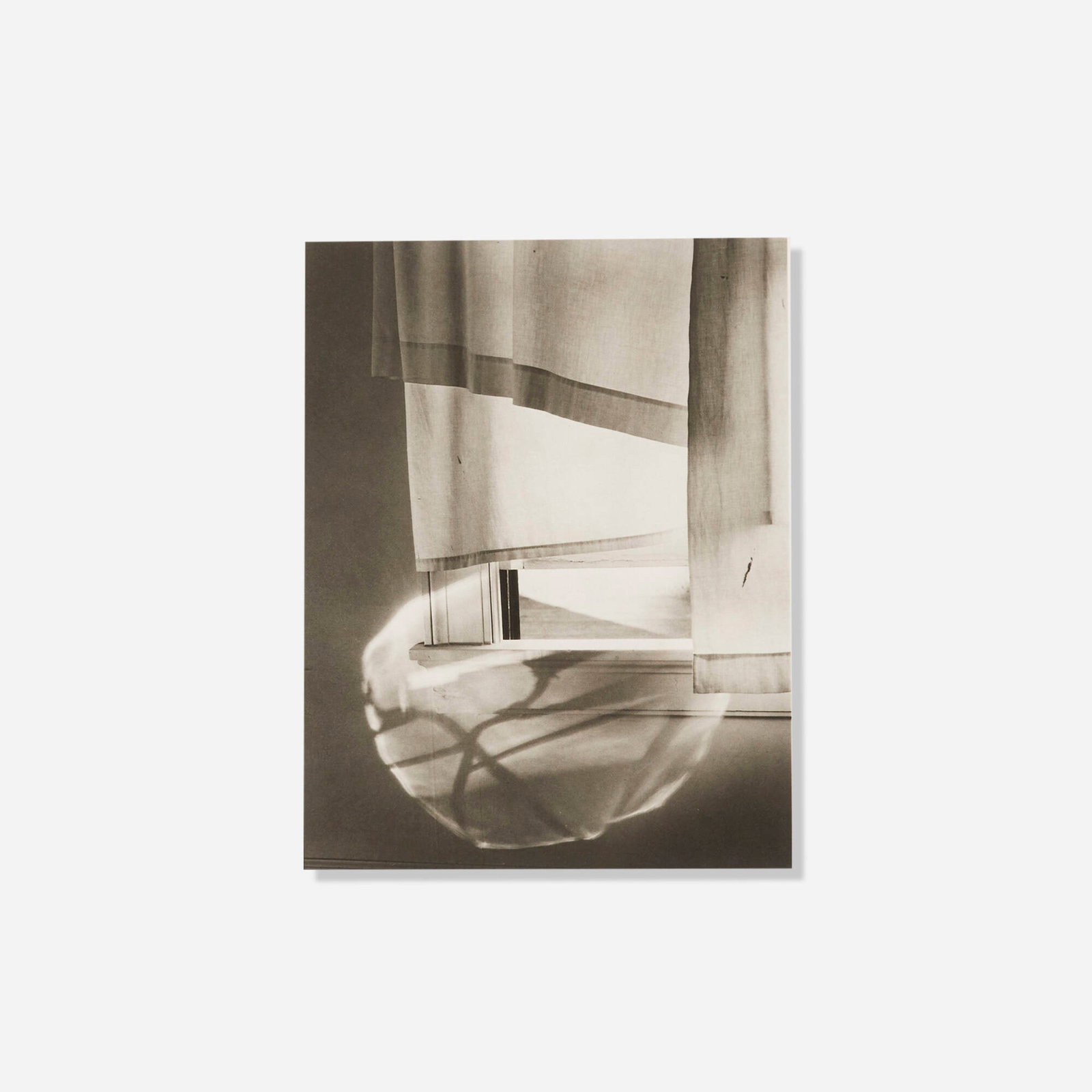 Minor White, Windowsill Daydreaming, Rochester (Founders & Friends: Aperture at 50 portfolio): Minor White Windowsill Daydreaming, Rochester, New York (from the Founders & Friends: Aperture at 50 portfolio) 1958 / printed 2002 platinum palladium print image: 9.375 h x 7.25 w in (24 x 18 cm)