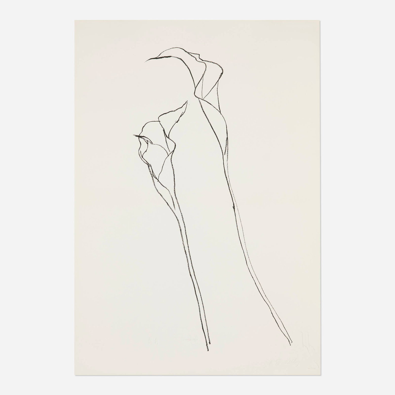 Ellsworth Kelly, Calla Lily 2: Ellsworth Kelly Calla Lily 2 1984 lithograph on BFK Rives image: 31 h x 16 w in (79 x 41 cm) sheet: 35.75 h x 25 w in (91 x 63 cm) Signed and numbered to lower right 'SP III Kelly' with publ