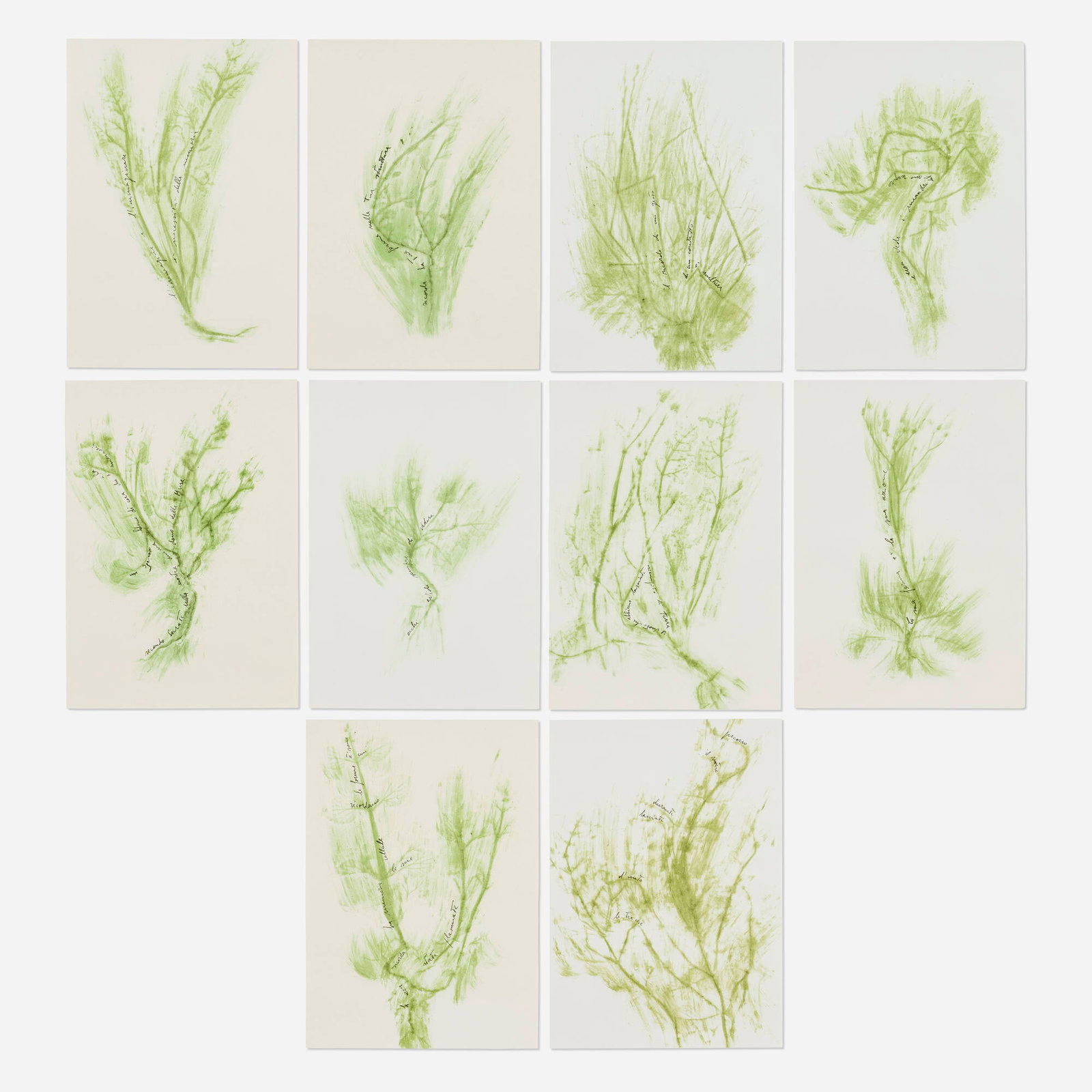 Giuseppe Penone, Ten works (from the Trentatre Erbe portfolio): Giuseppe Penone Ten works (from the Trentatre Erbe portfolio) 1989 lithograph in colors each: 16.25 h x 11.75 w in (41 x 30 cm) These works are from the edition of 120 printed and published by Marco
