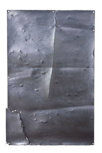 Nancy Rubins, Untitled: Nancy Rubins Untitled 1994 Graphite on paper collage with steel push pins on painted medium density fiberboard Sheet: 40.5" x 26"; Fiberboard: 47" x 32" Provenance: Collection of Art Enterprises, Ltd,