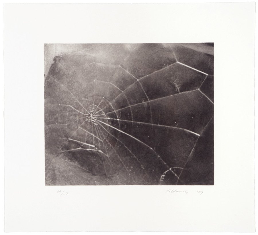 Vija Celmins, WEB: Vija Celmins WEB 2009 Silkscreen on paper #69 of 117 Published by the Lincoln Center/List Print and Poster Program, New York; printed by Brand X Editions, New York Signed and dated lower right beneath
