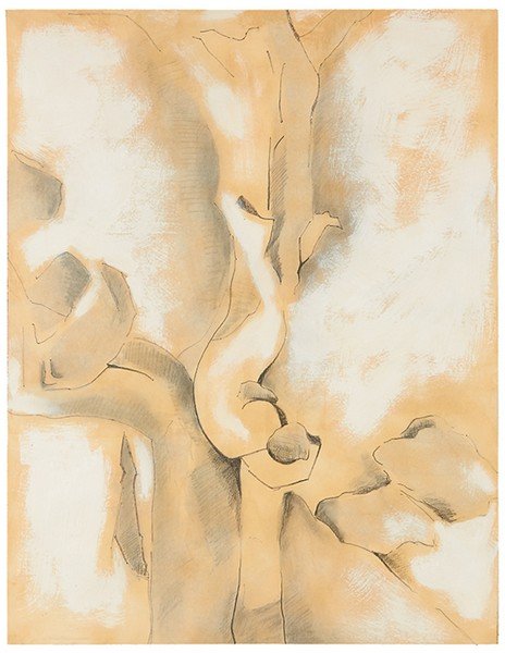 David Hare, Tree and Rocks: David Hare Tree and Rocks 1978 Charcoal, pencil, and acrylic on paper Signed and dated with title verso; retains Hamilton Gallery label verso Sheet: 42" x 33"; Frame: 44.75" x 35" Estimate: $1,500 - $