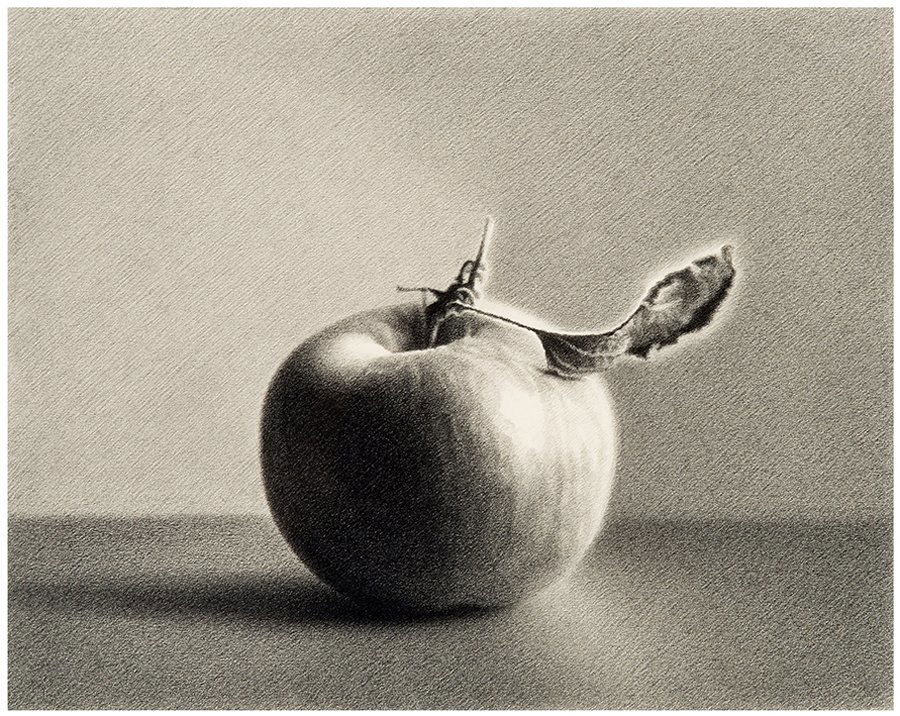 Martha Alf, Apple #6: Martha Alf Apple #6 1980 Graphite on Strathmore paper Signed, dated, and titled verso Sheet (vis.): 10.625" x 13.375"; Frame: 17" x 19.75"