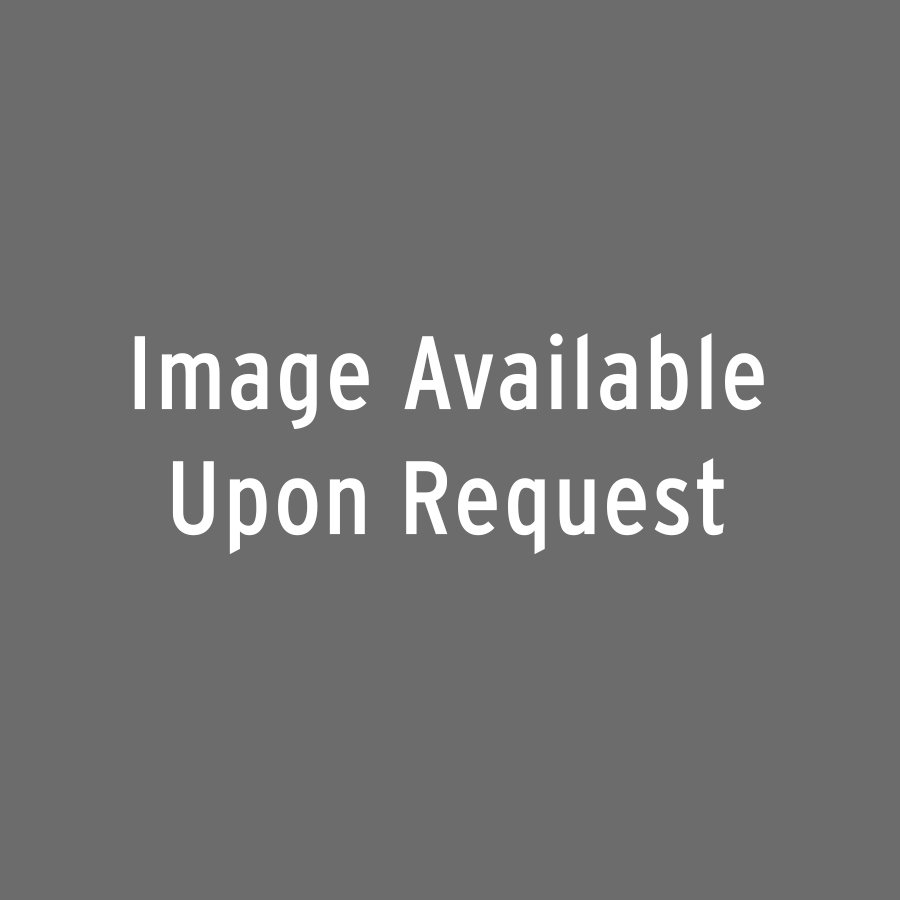 Robert Graham, Panel from the Dance Door: Robert Graham Panel from the Dance Door 1984 Patinated bronze relief #84 of 100 Produced for the Music Center of Los Angeles Initials incised center right edge; impressed "084" center right edge Bronz