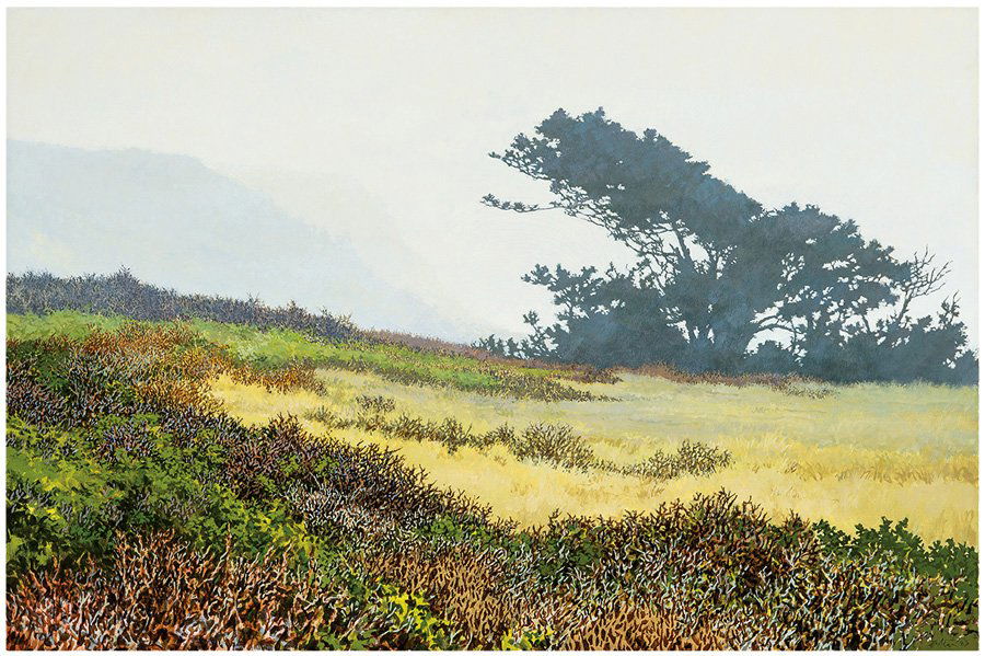 Peter Loftus, Incoming Fog (1 of 1)