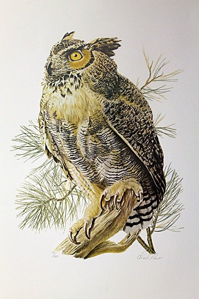 Hand Signed Lithograph Rowe: Hand Signed Lithograph Rowe titled "Great Horned Owl "